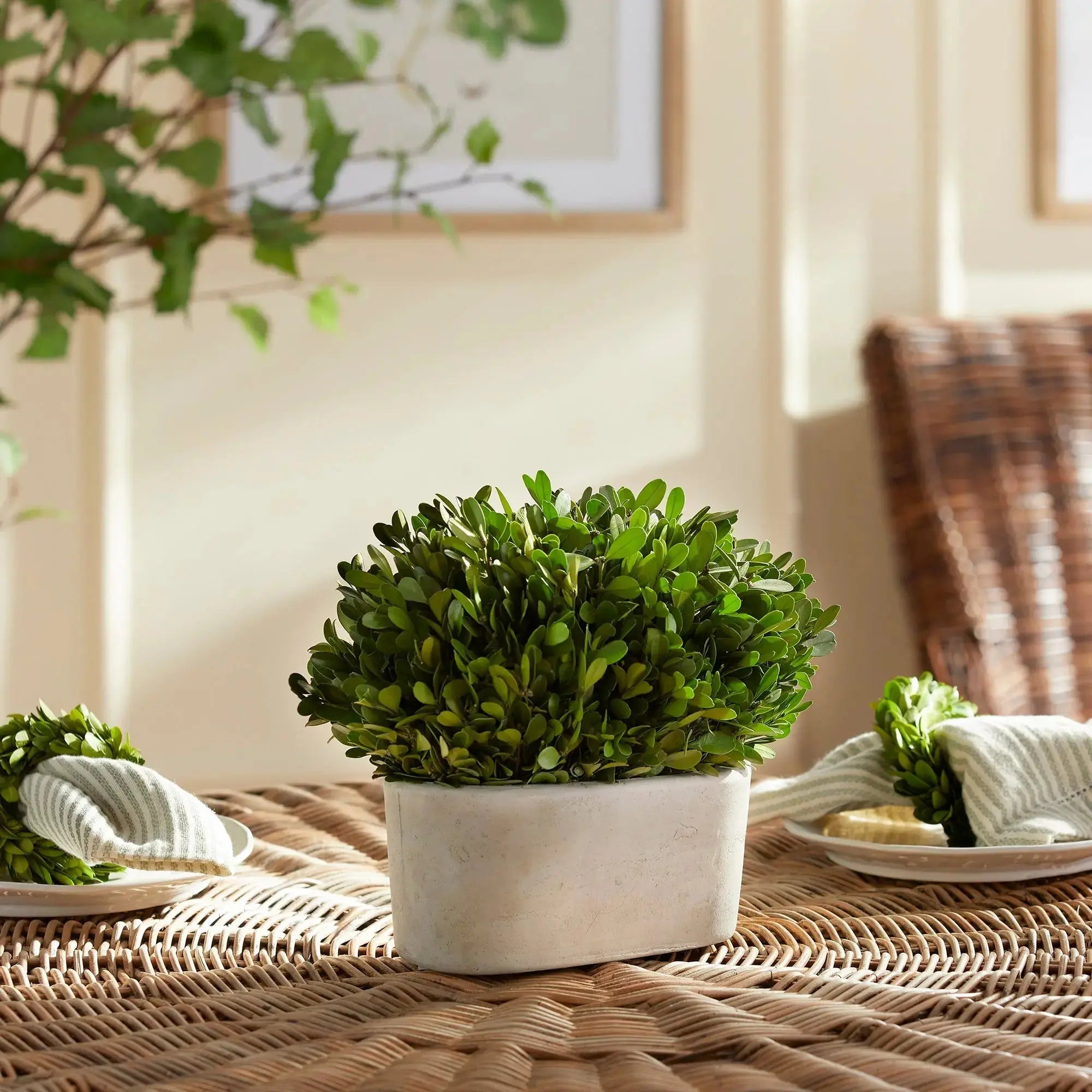 Luxury Preserved Greenery and boxwood topiaries in a modern entryway.