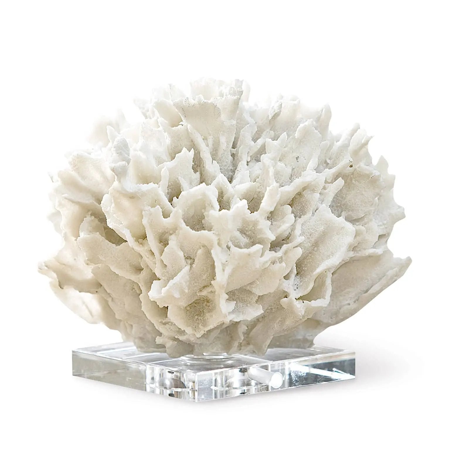 Ribbon Coral – White Resin on Crystal Base Regina Andrew