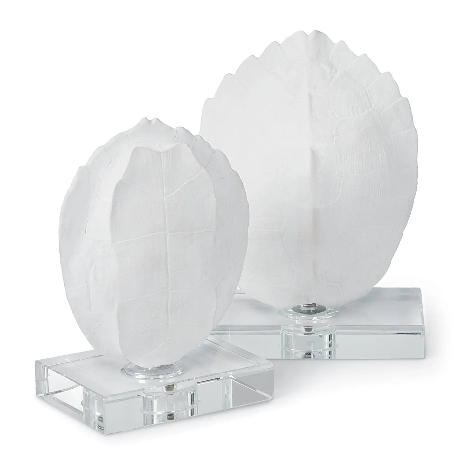 Turtle Shells on Crystal (Set of 2) – White Resin Decorative Accents - Villa Decor & Design