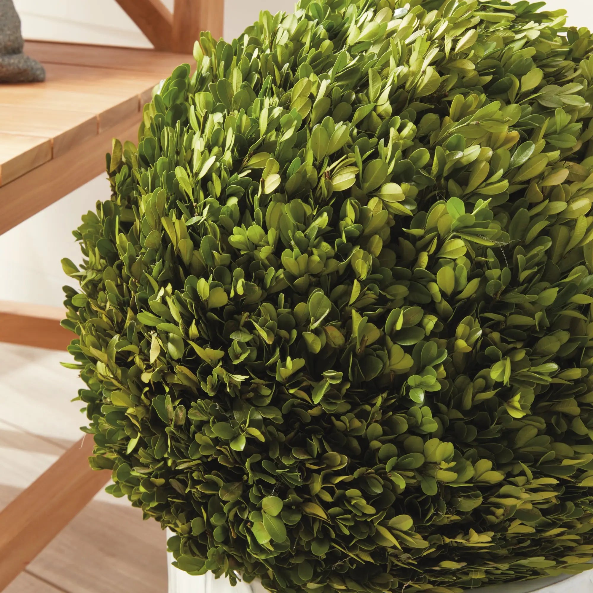 Boxwood Ball - 16"