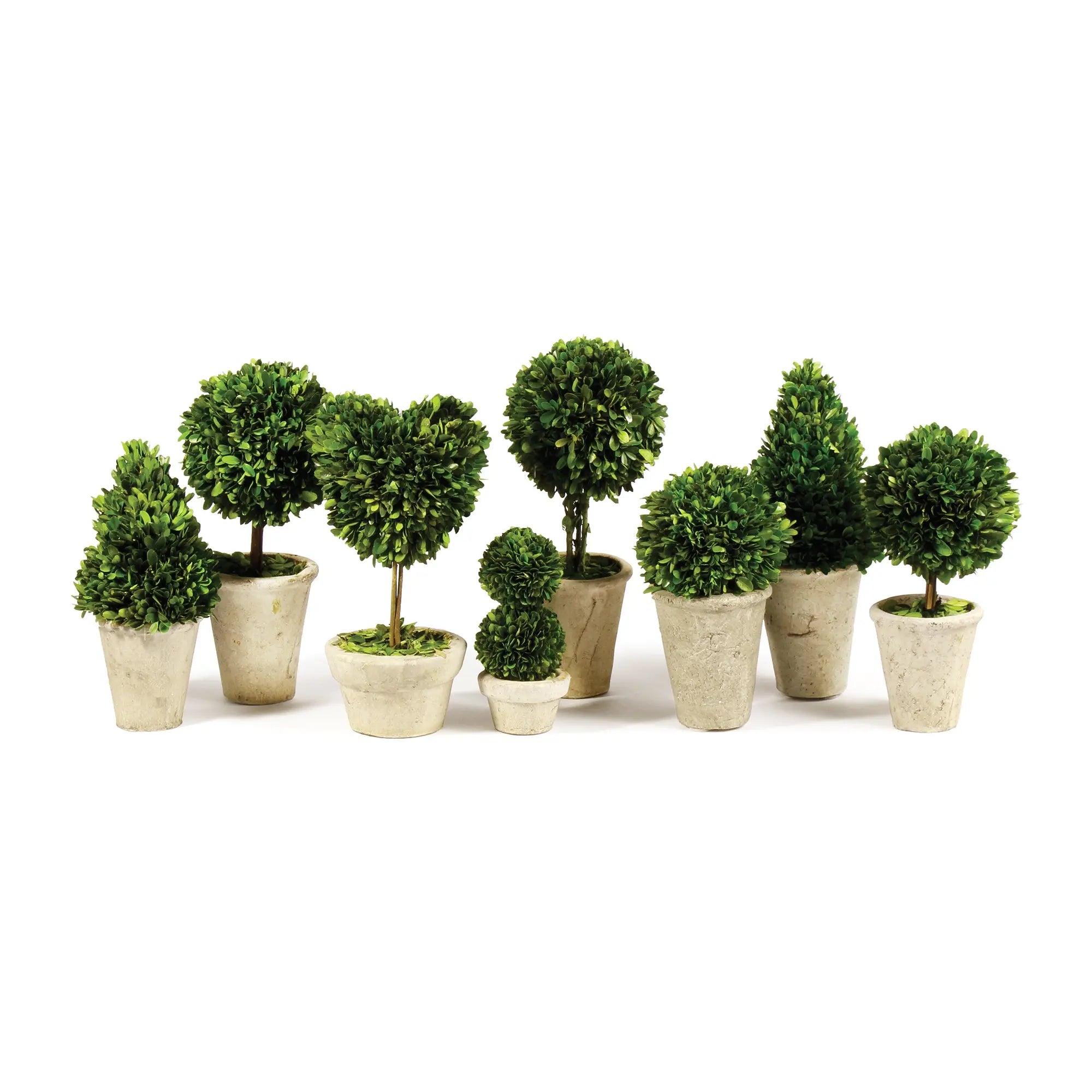 BOXWOOD TOPIARIES IN POTS, SET OF 8 Villa Decor & Design
