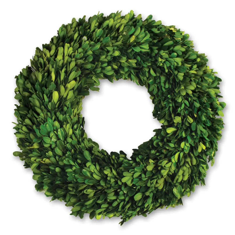 Boxwood Wreath - 16"