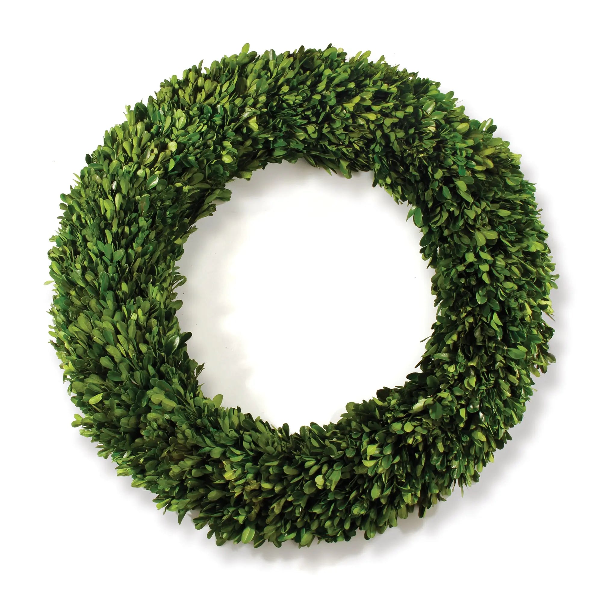 24-inch preserved boxwood wreath with lush green foliage