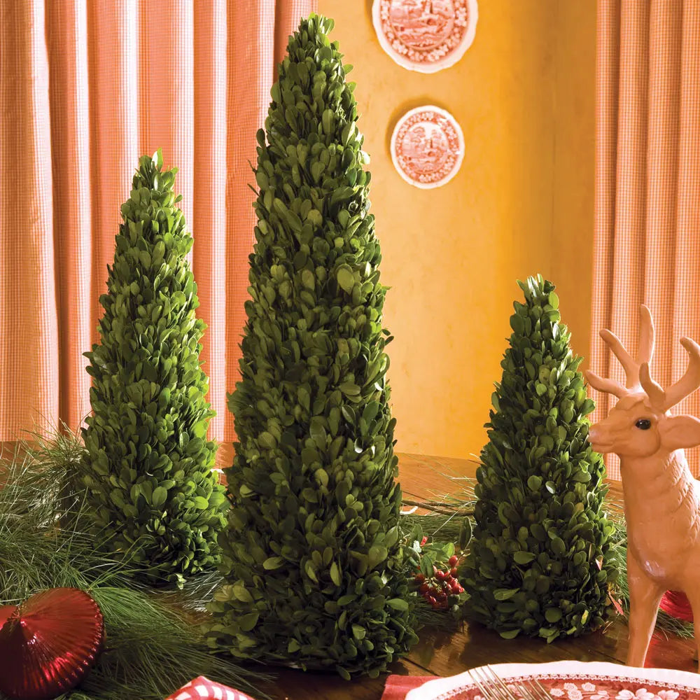 BOXWOOD MINI TREES, SET OF 3 Villa Decor & Design