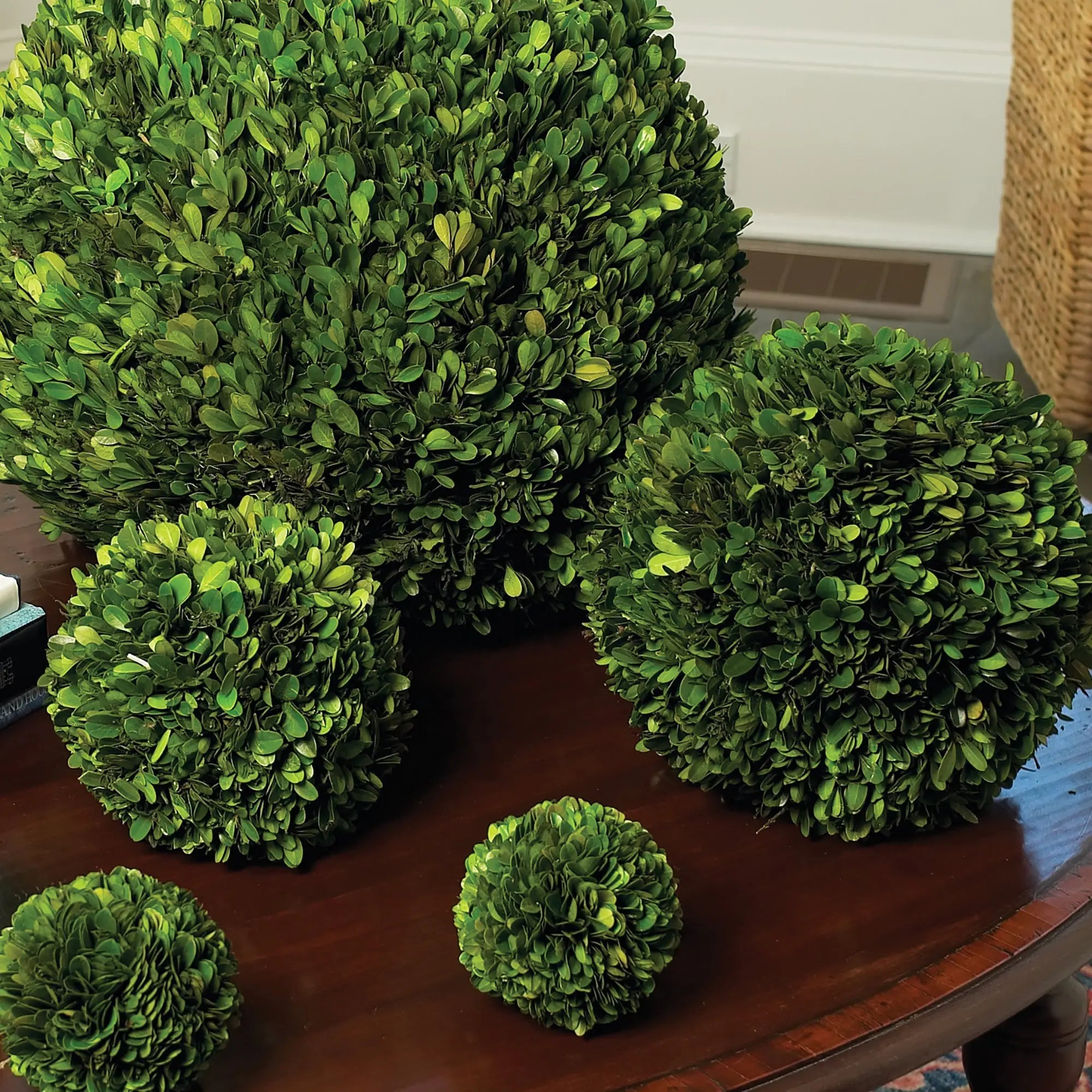Boxwood Ball - 12"