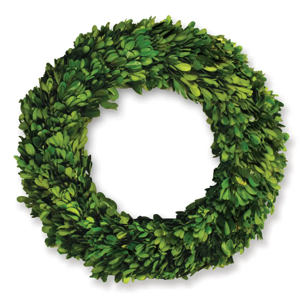 Boxwood Wreath - 12"
