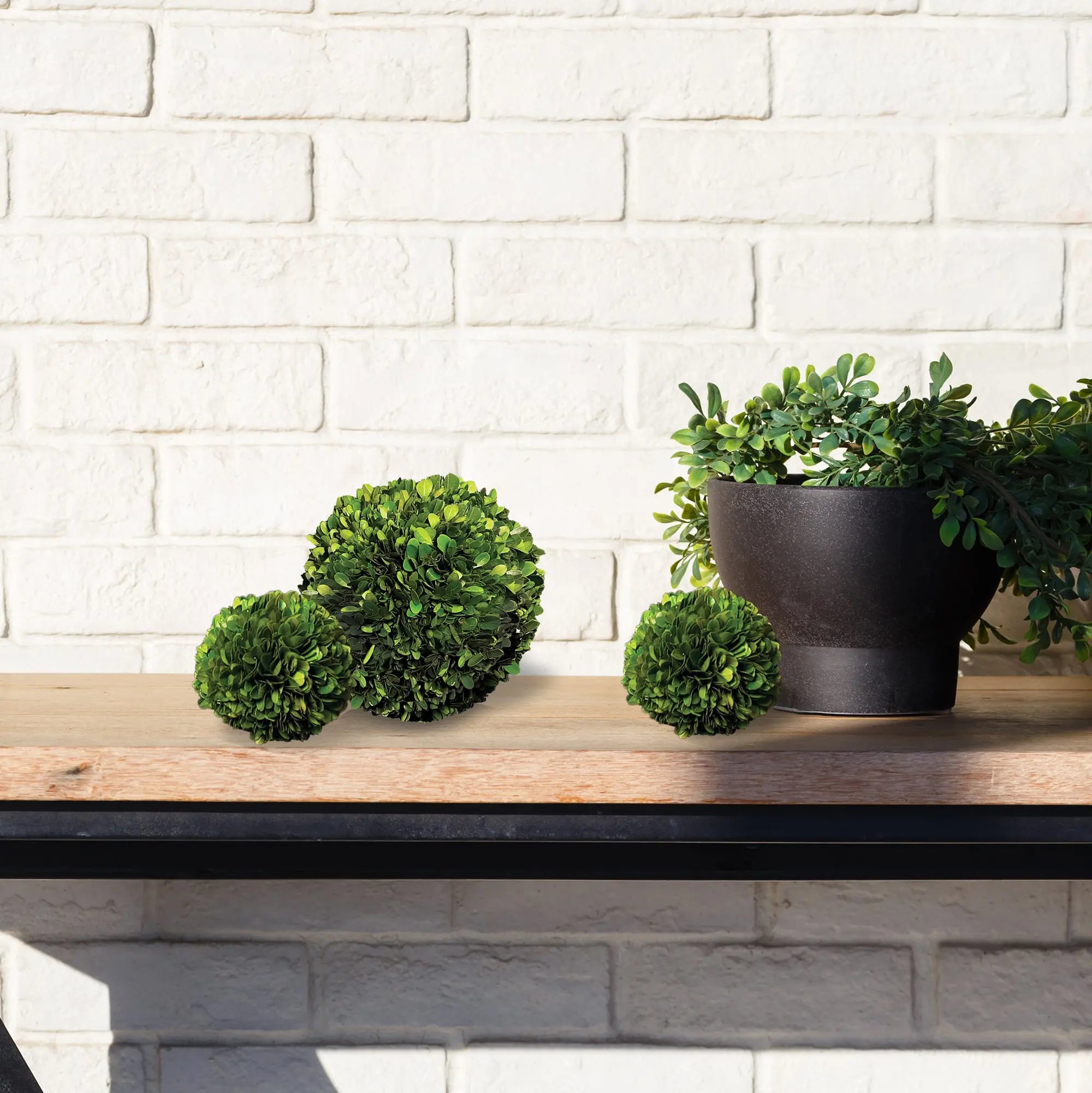 8-inch preserved boxwood ball β natural greenery sphere