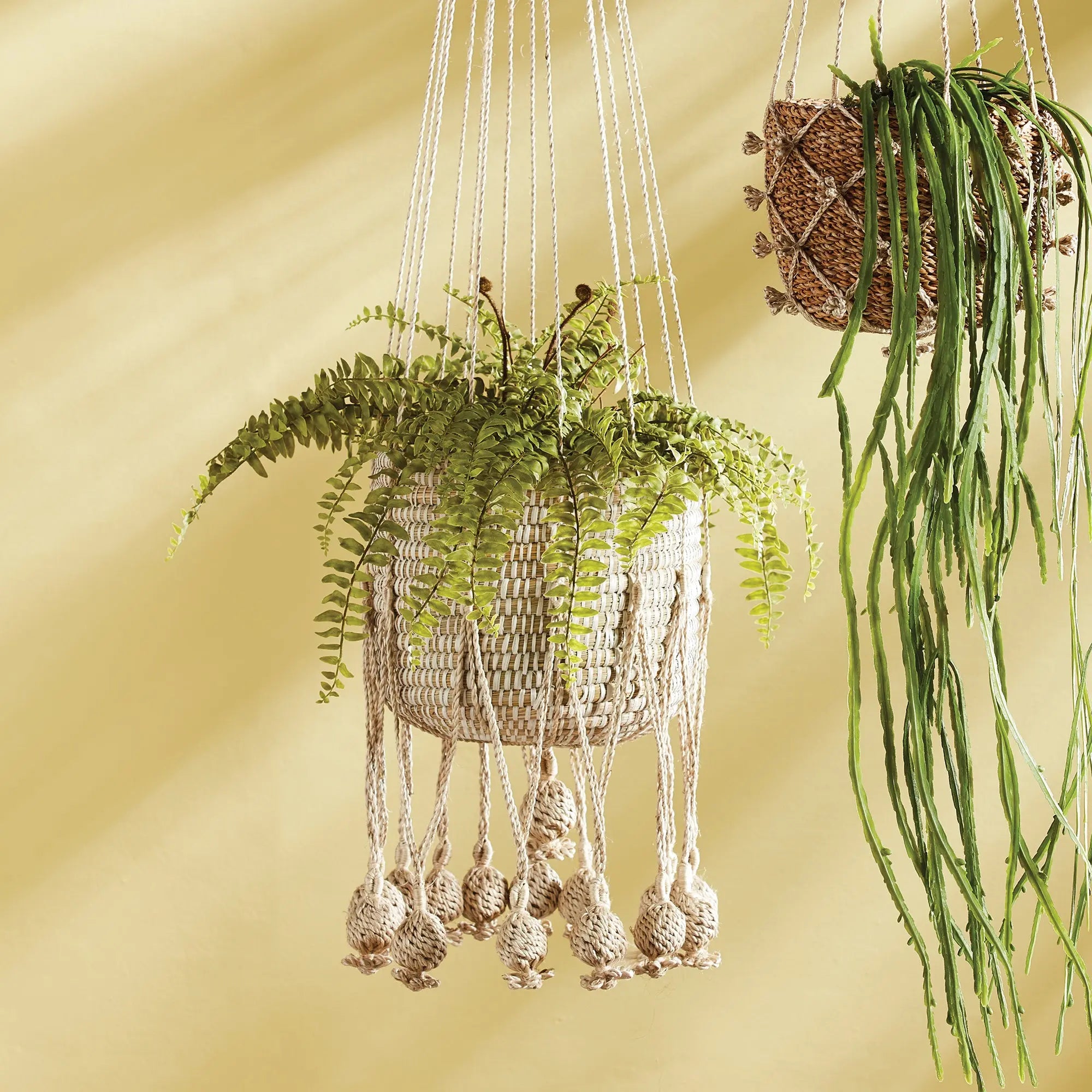 BOSTON FERN DROP-IN 16" Villa Decor & Design