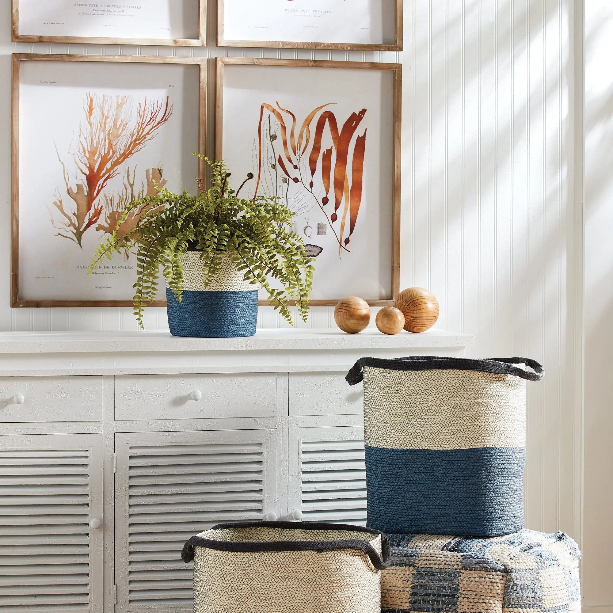 BOSTON FERN DROP-IN 16" Villa Decor & Design