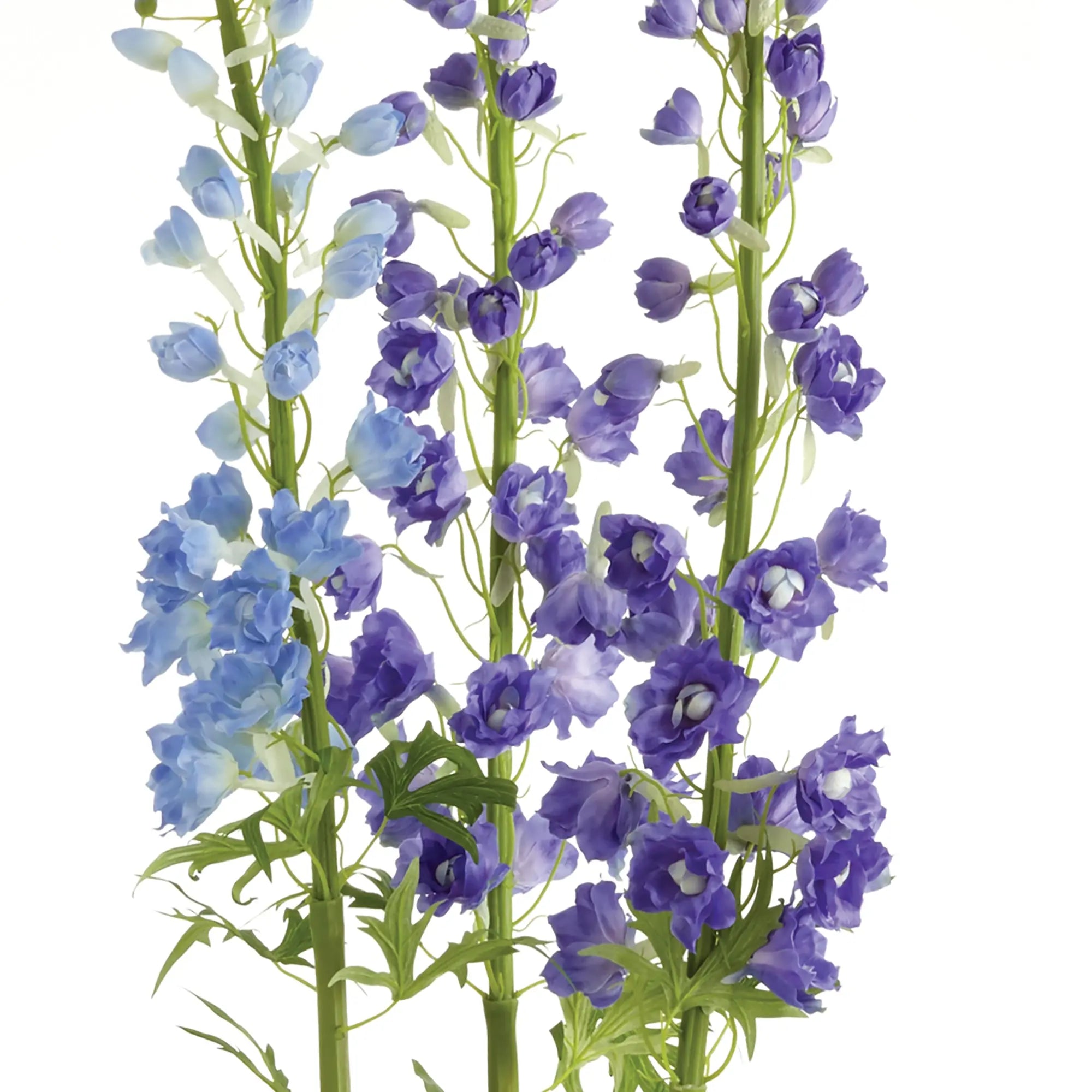 DELPHINIUM DROP-IN 53" Villa Decor & Design