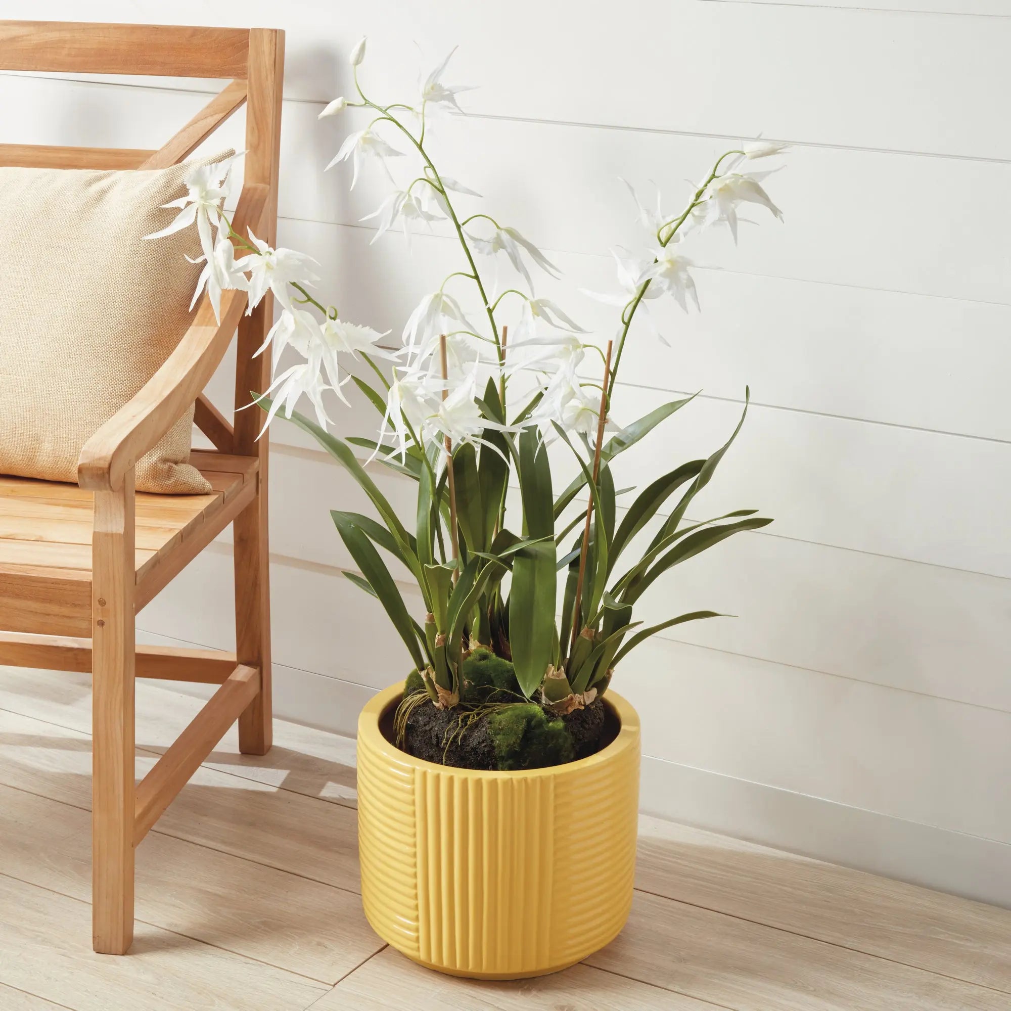 SPIDER ORCHID DROP-IN 44" Villa Decor & Design