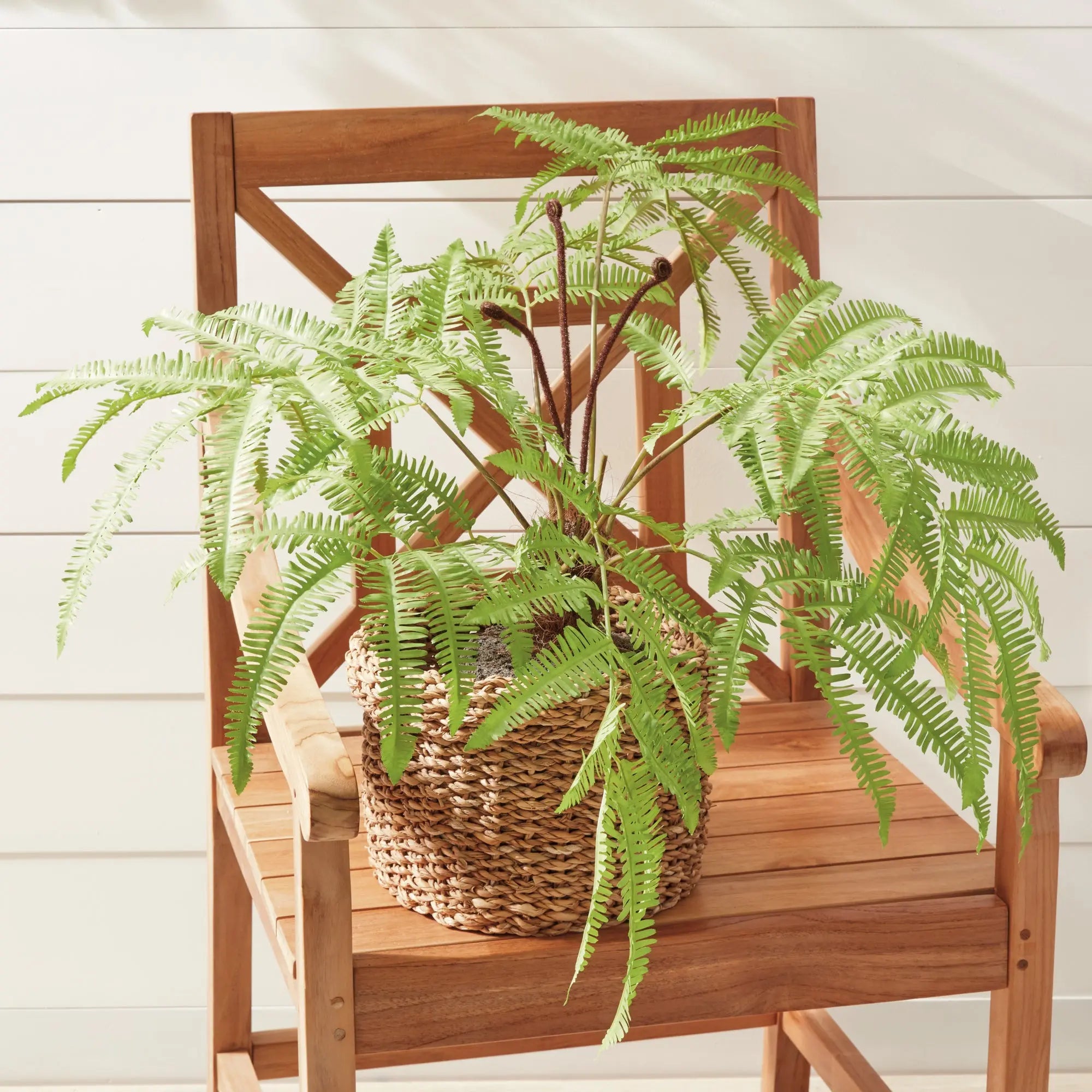 FOREST FERN DROP-IN 29.5" Villa Decor & Design