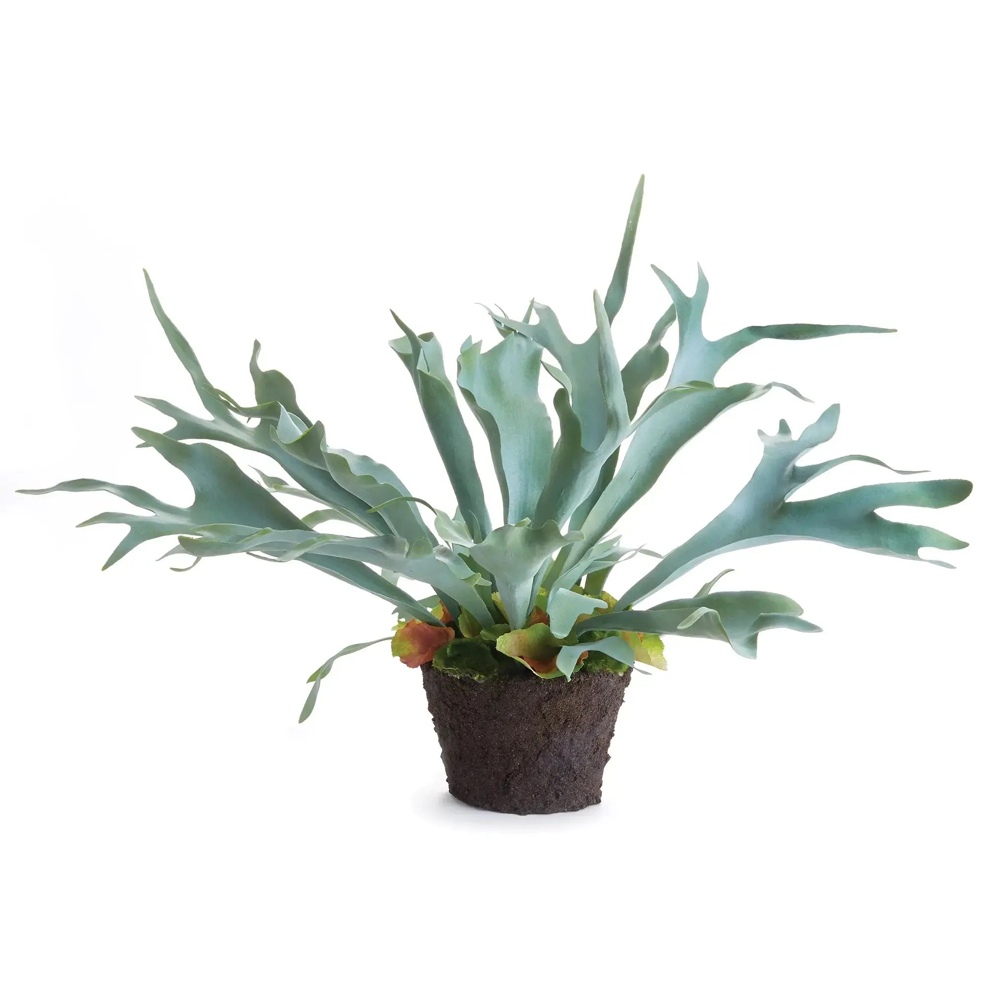 STAGHORN FERN DROP-IN 21" Villa Decor & Design