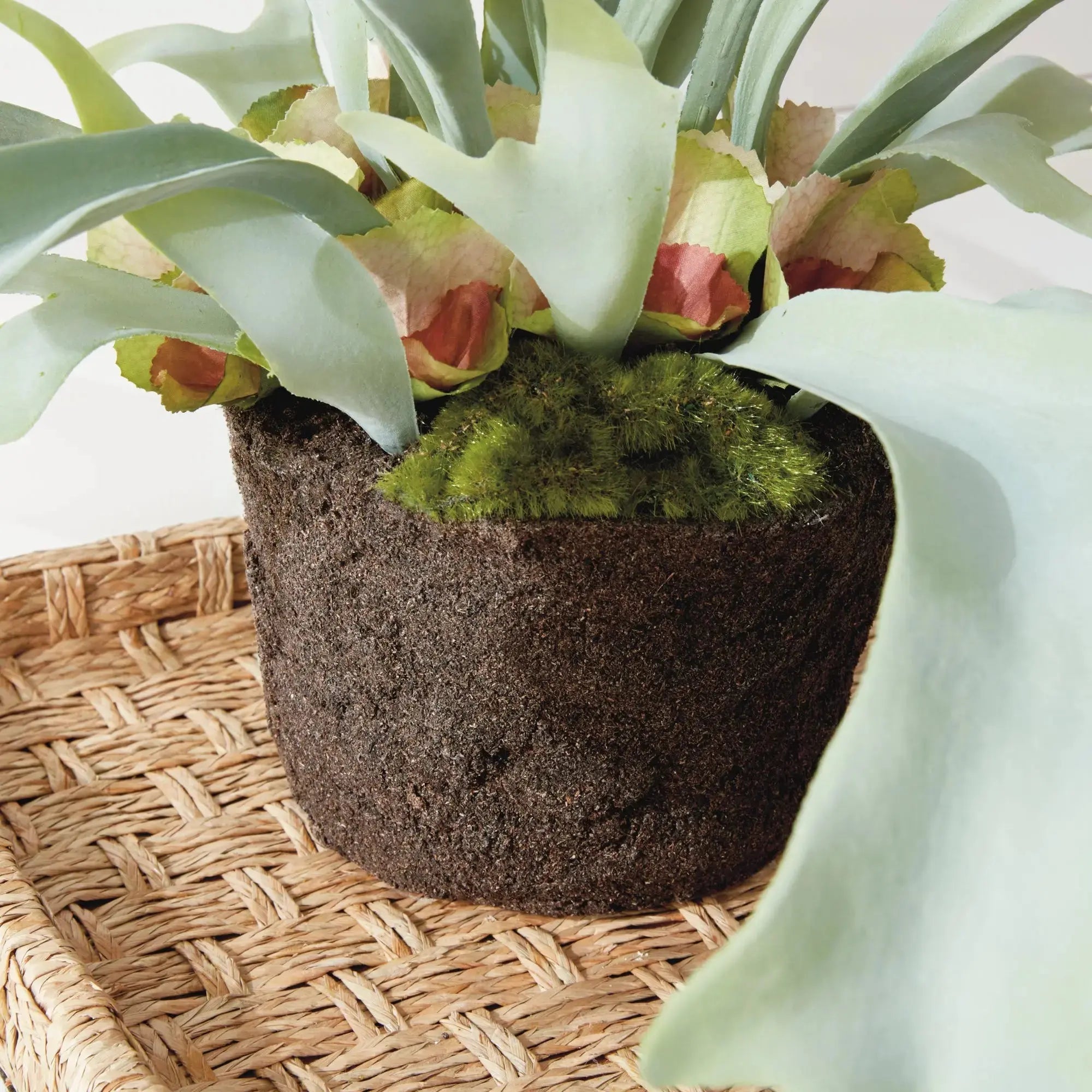 STAGHORN FERN DROP-IN 21" Villa Decor & Design