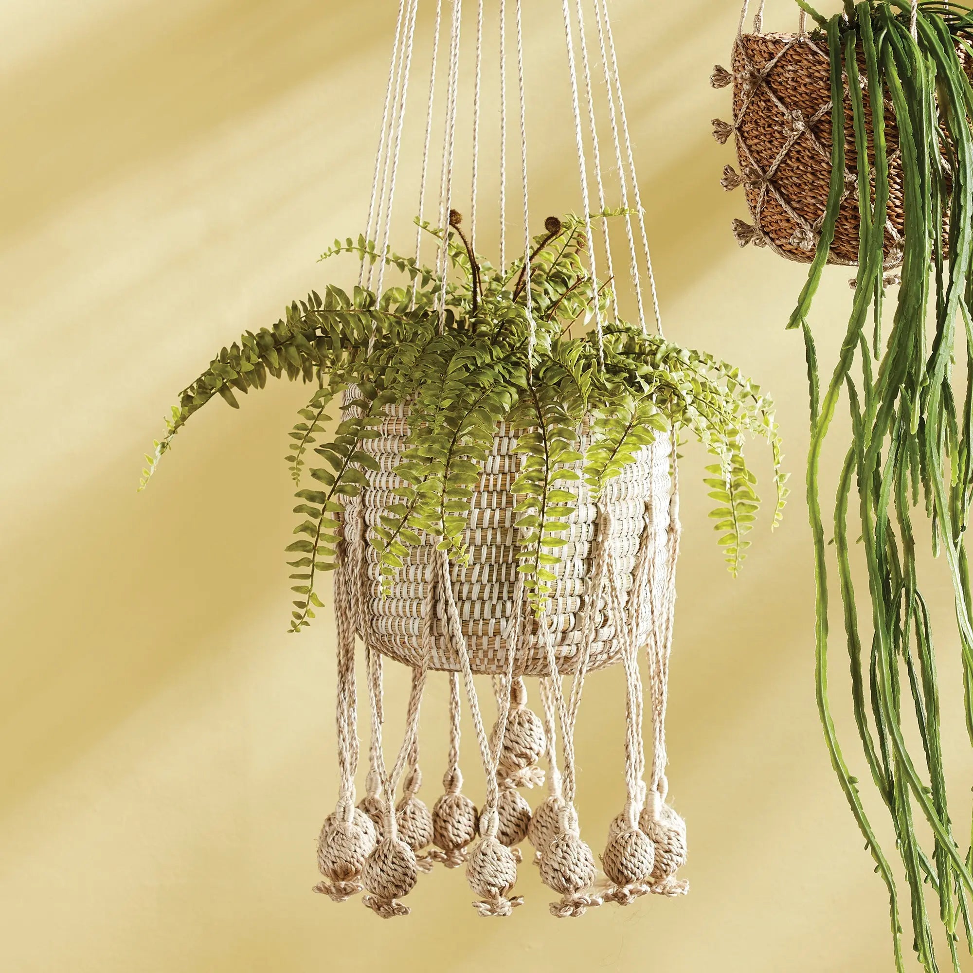 Macrame plant hanger with a fern on a beige background