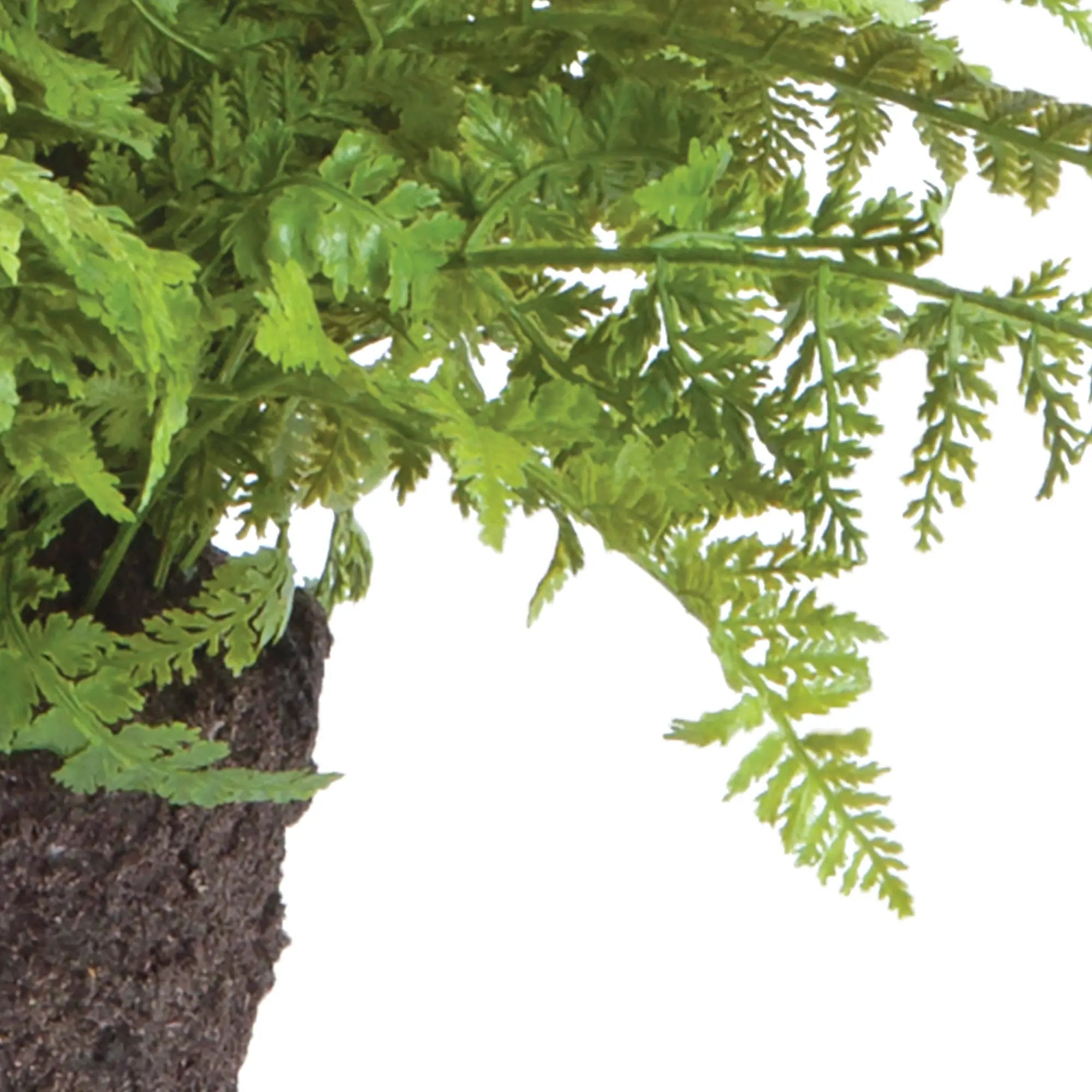 Realistic 10.5-inch soft fern faux plant with natural green foliage and detailed root ball