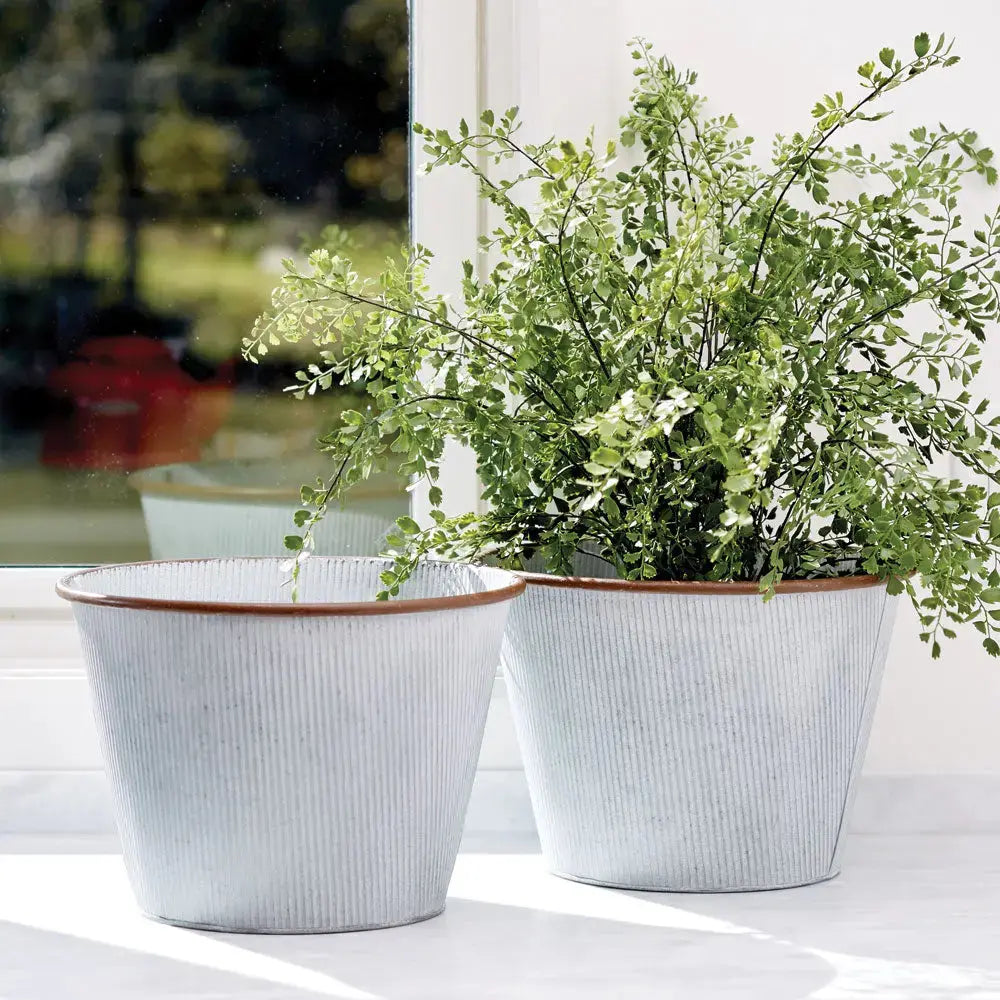 MAIDENHAIR DROP-IN 23" Villa Decor & Design