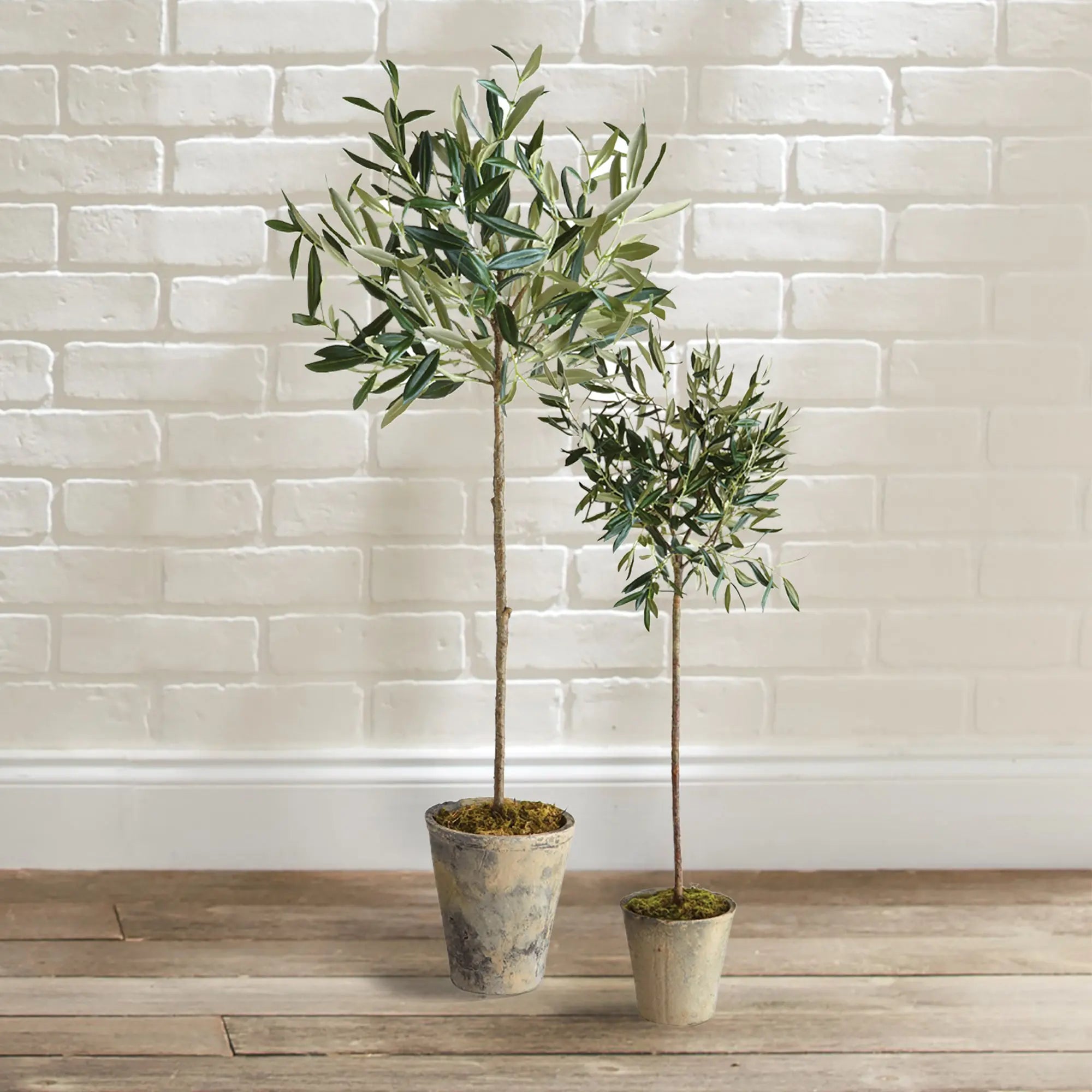OLIVE TREE POTTED 30" Villa Decor & Design