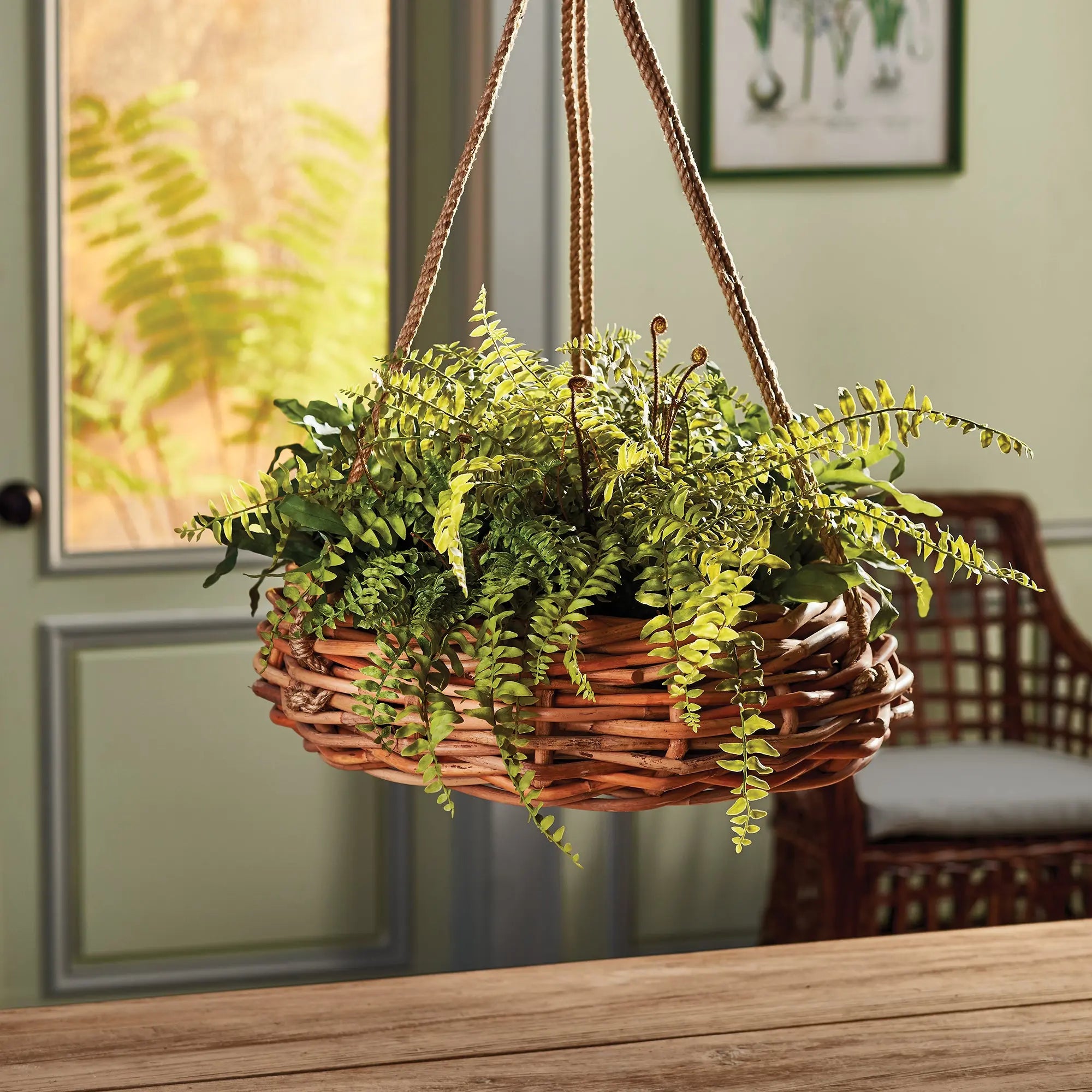 BOSTON FERN RUSTIC DROP-IN 12" Villa Decor & Design