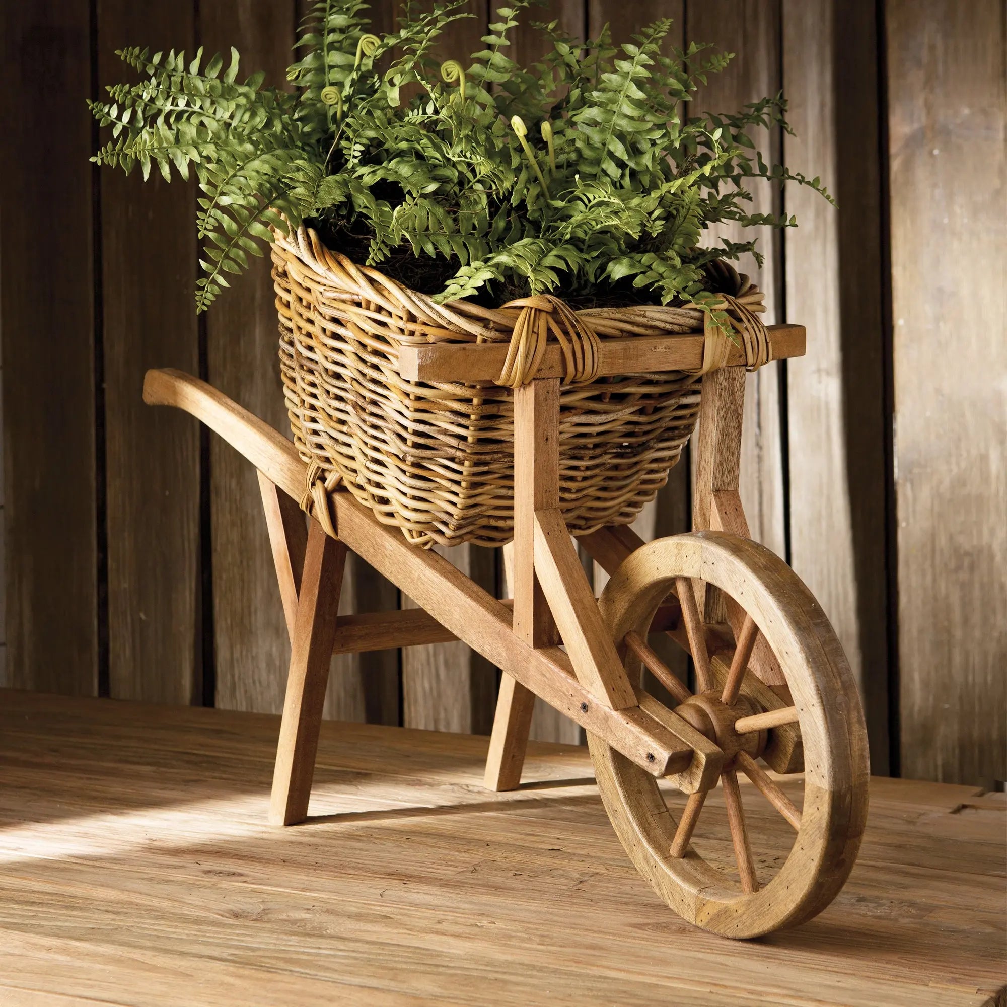 BOSTON FERN DROP-IN 12" Villa Decor & Design