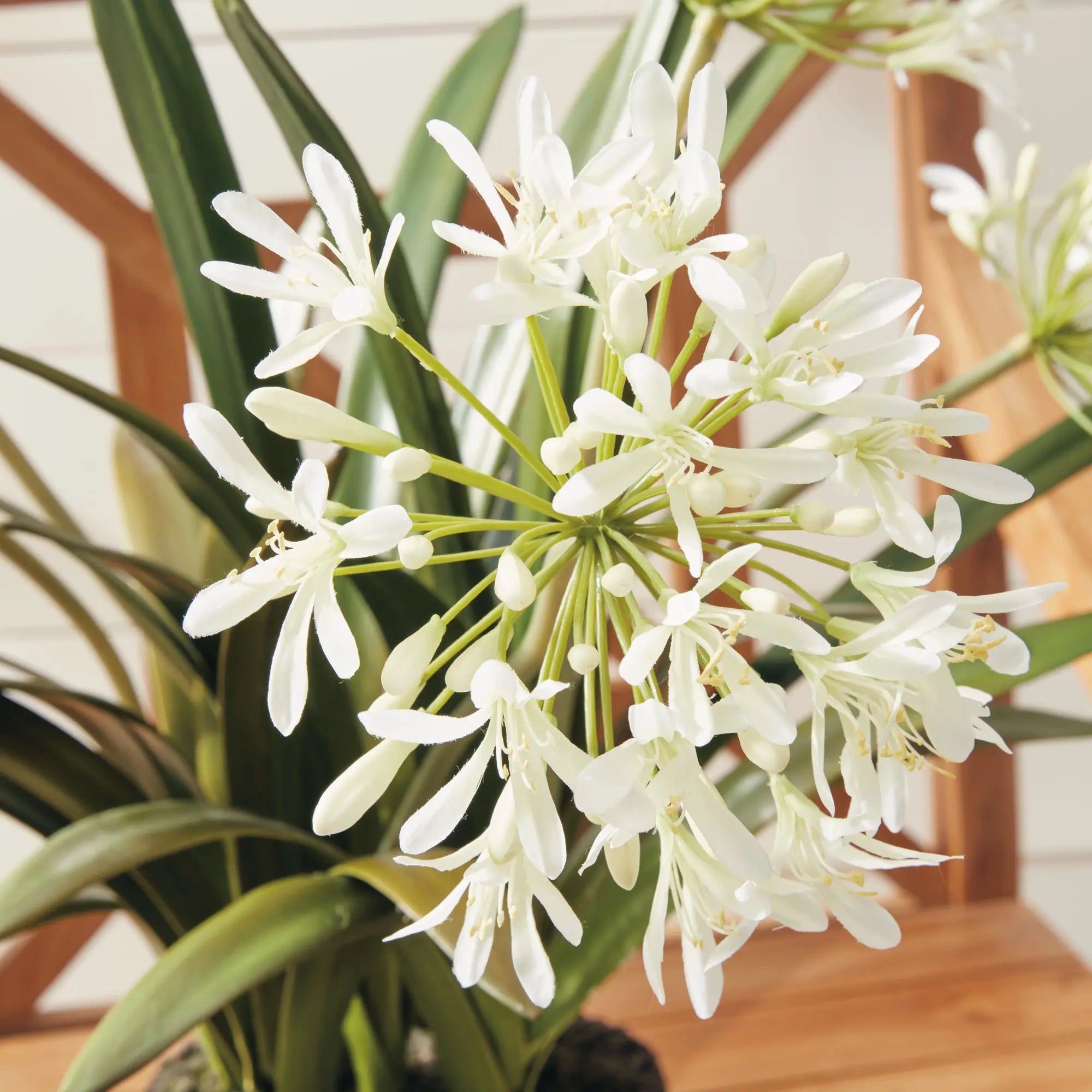 AGAPANTHUS DROP-IN 29" Villa Decor & Design