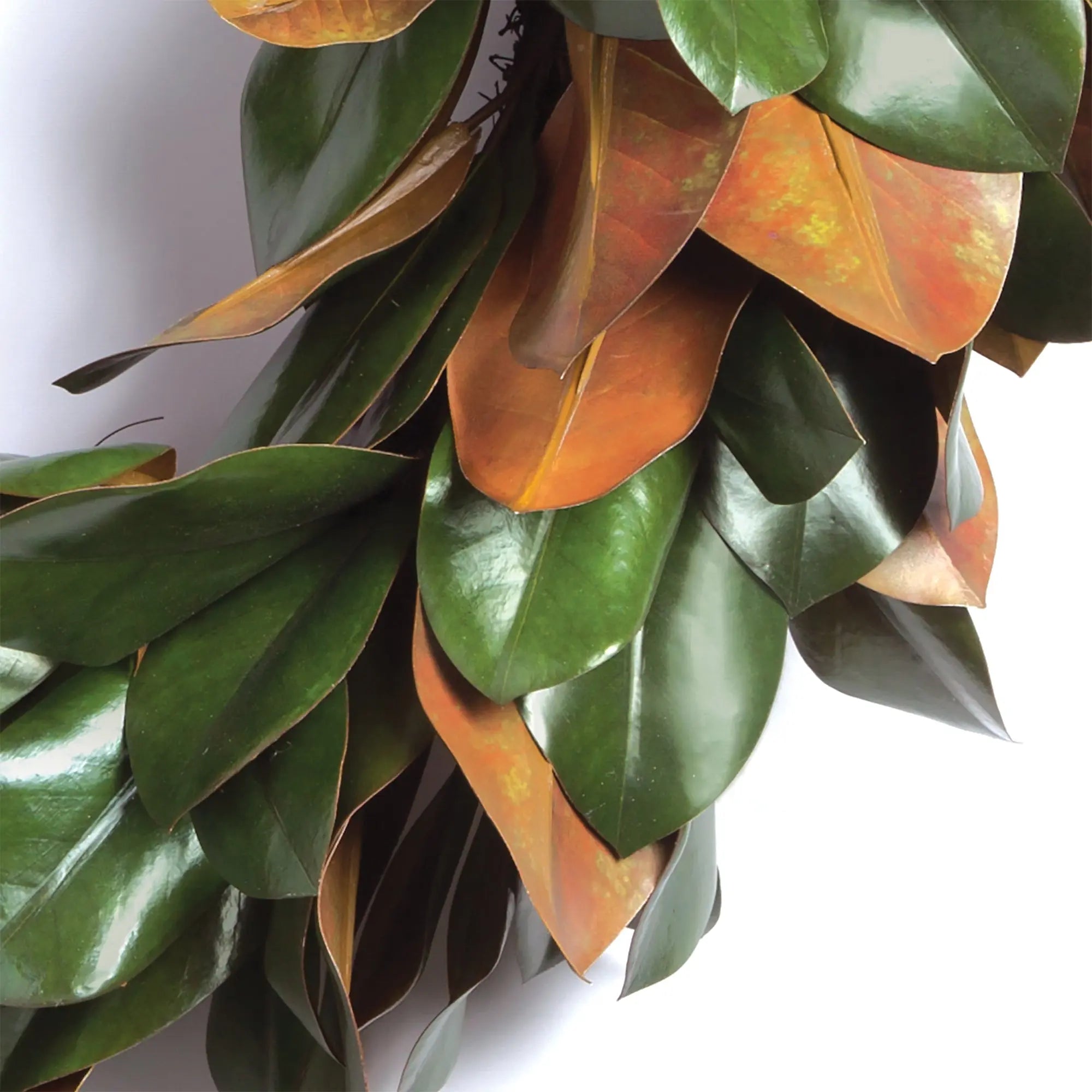GRAND MAGNOLIA LEAF WREATH 24" Villa Decor & Design