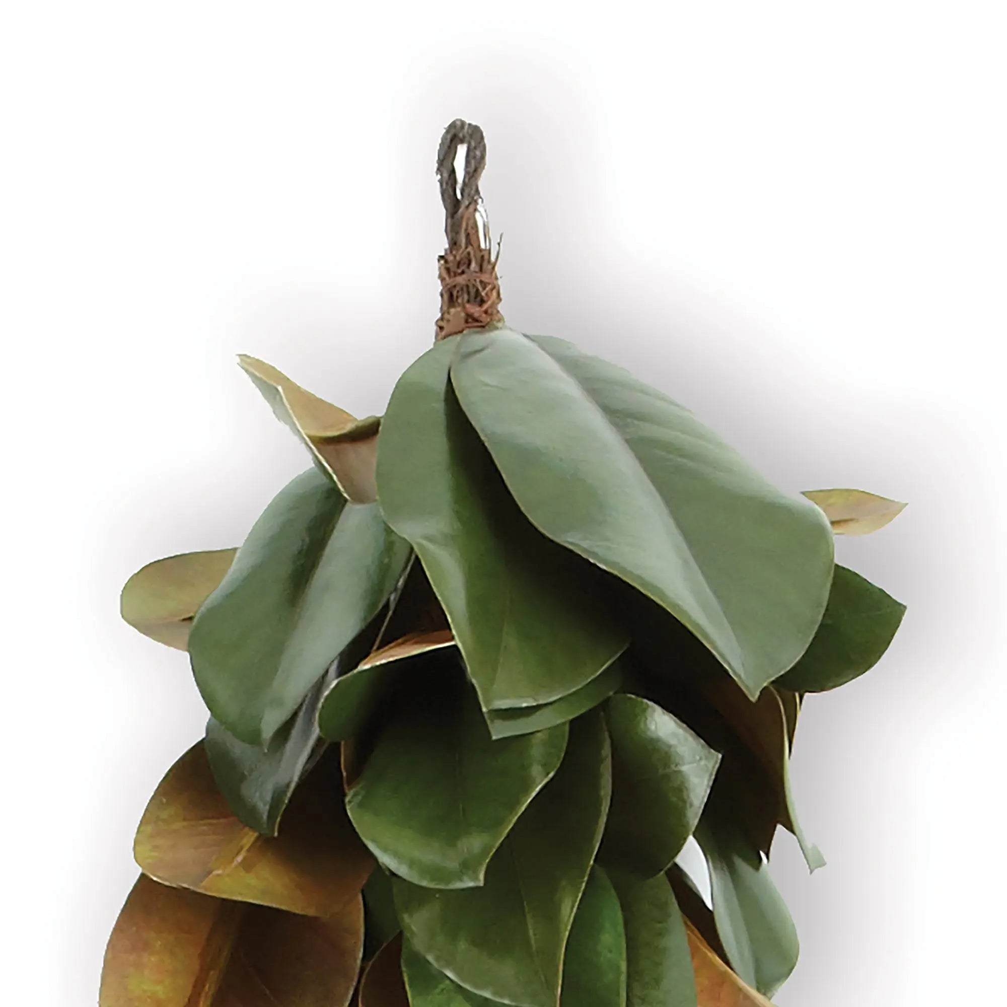 GRAND MAGNOLIA LEAF GARLAND 72" Villa Decor & Design