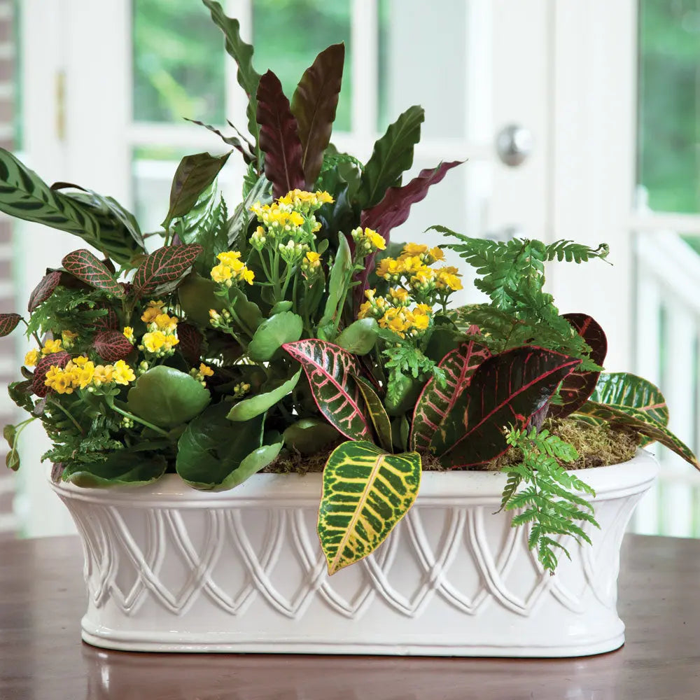 HILLINGDON OBLONG CACHEPOT Villa Decor & Design