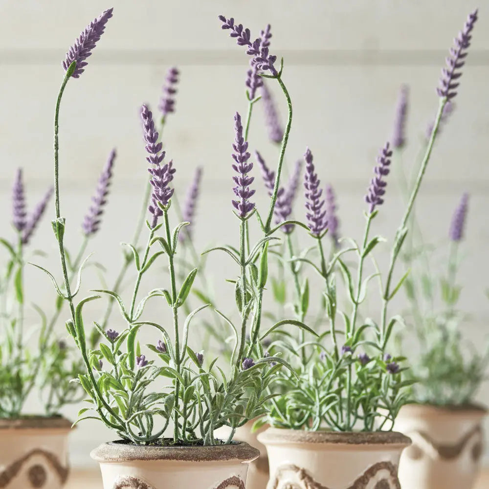 FRENCH LAVENDER DROP-IN 13", SET OF 6 Villa Decor & Design