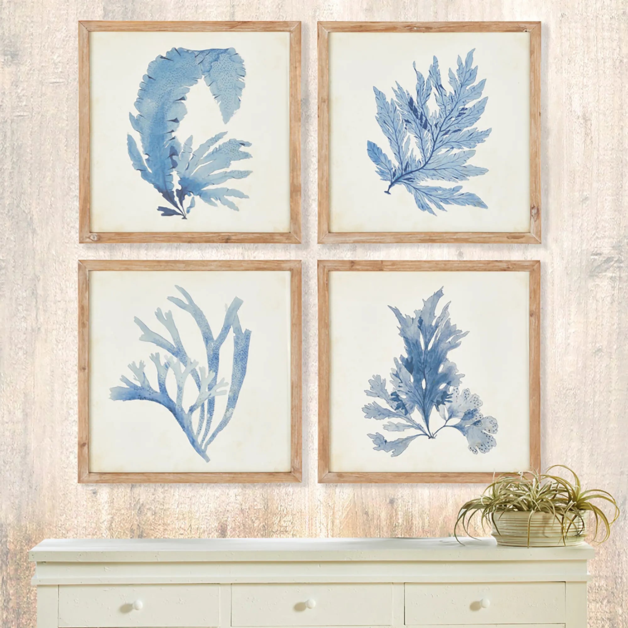 Set of four framed coral watercolor prints in whitewashed wood frames, coastal wall art