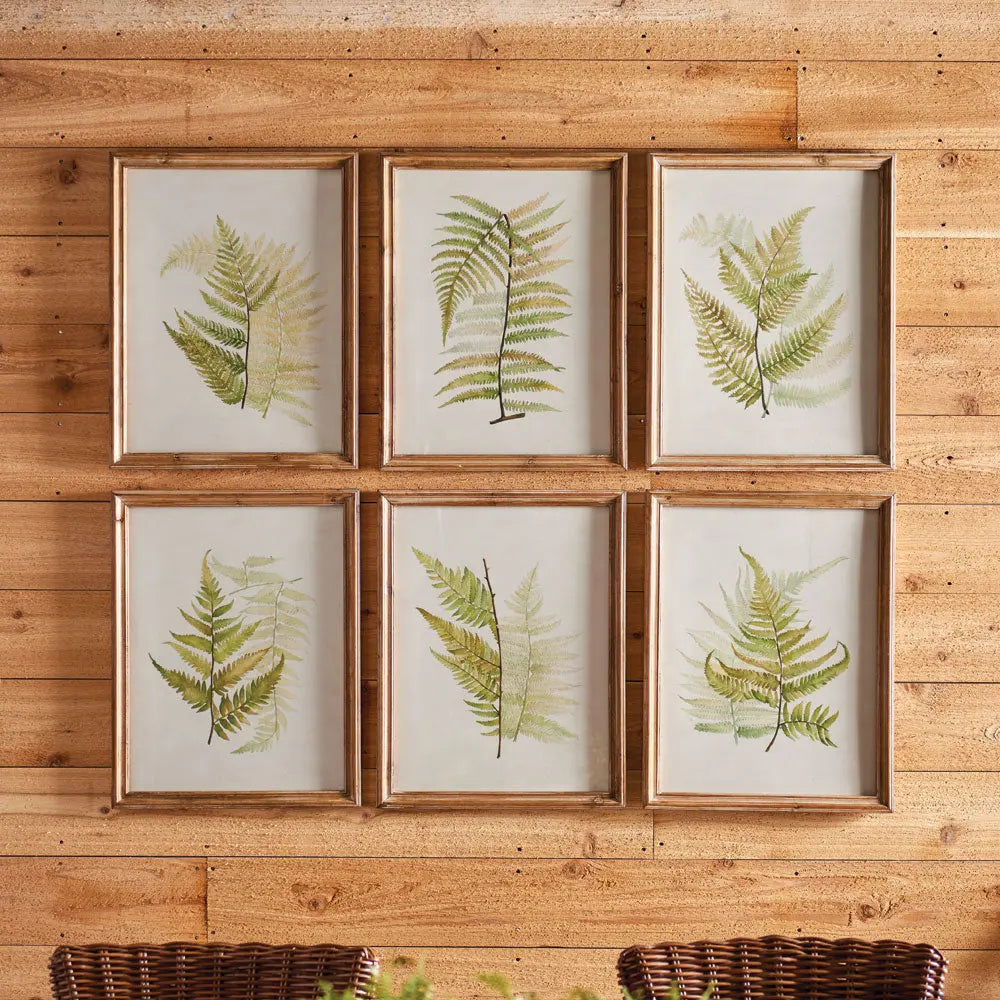 Framed watercolor fern prints styled on a wood paneled wall