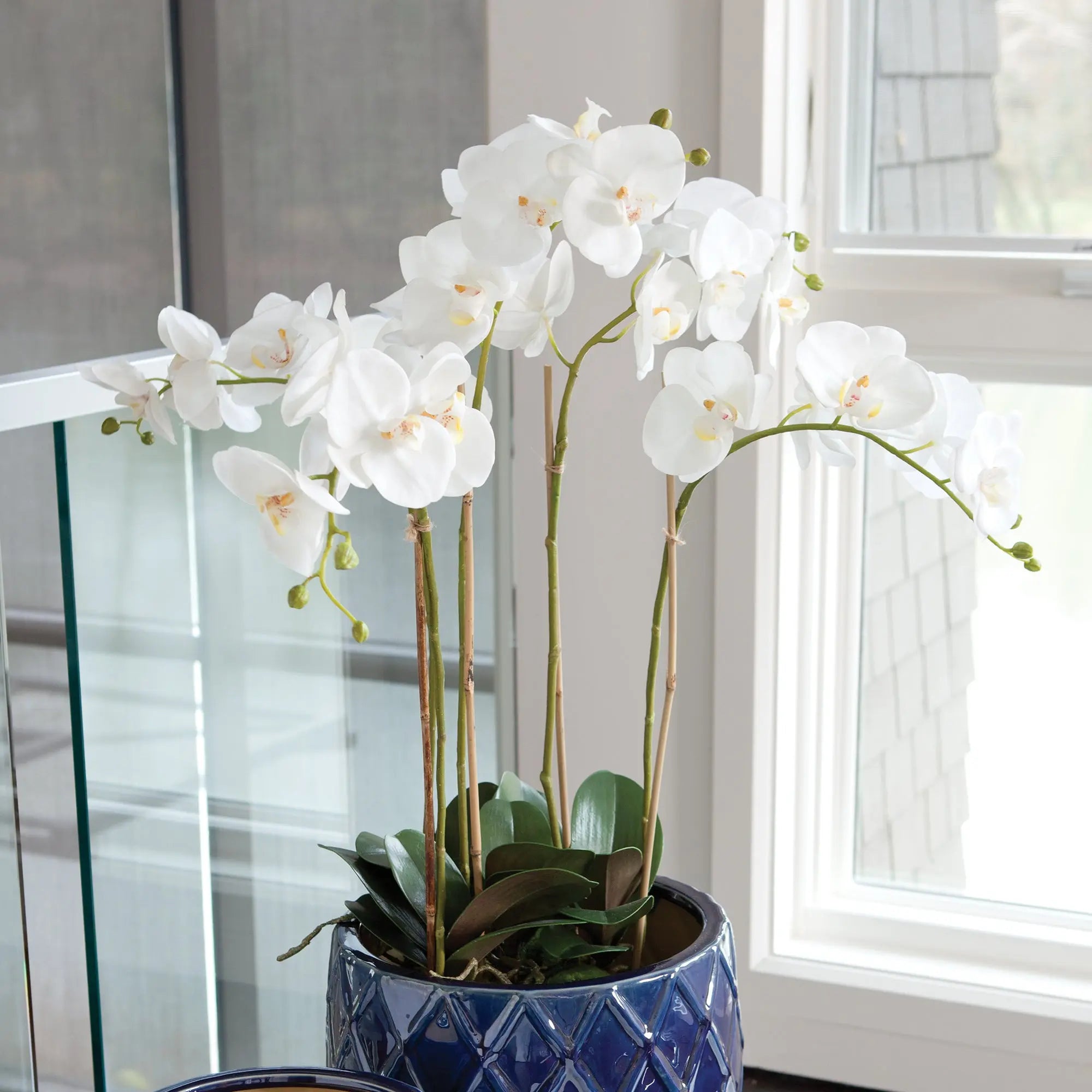 Phalaenopsis Orchid Bowl Drop-In 25"