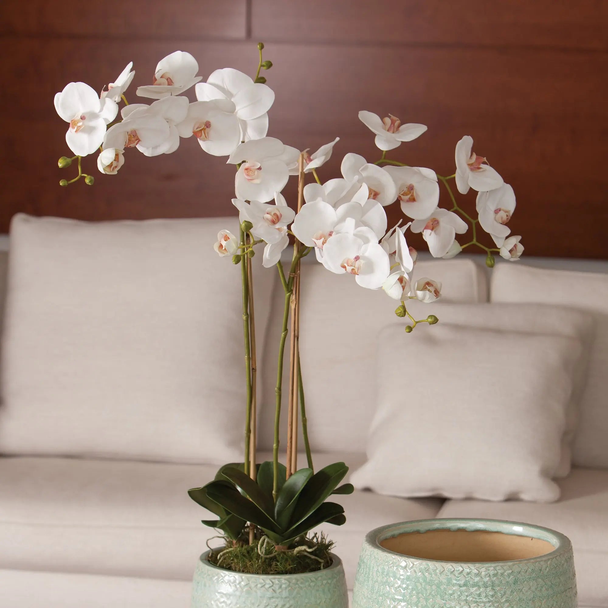 PHALAENOPSIS ORCHID DROP-IN 31" Villa Decor & Design