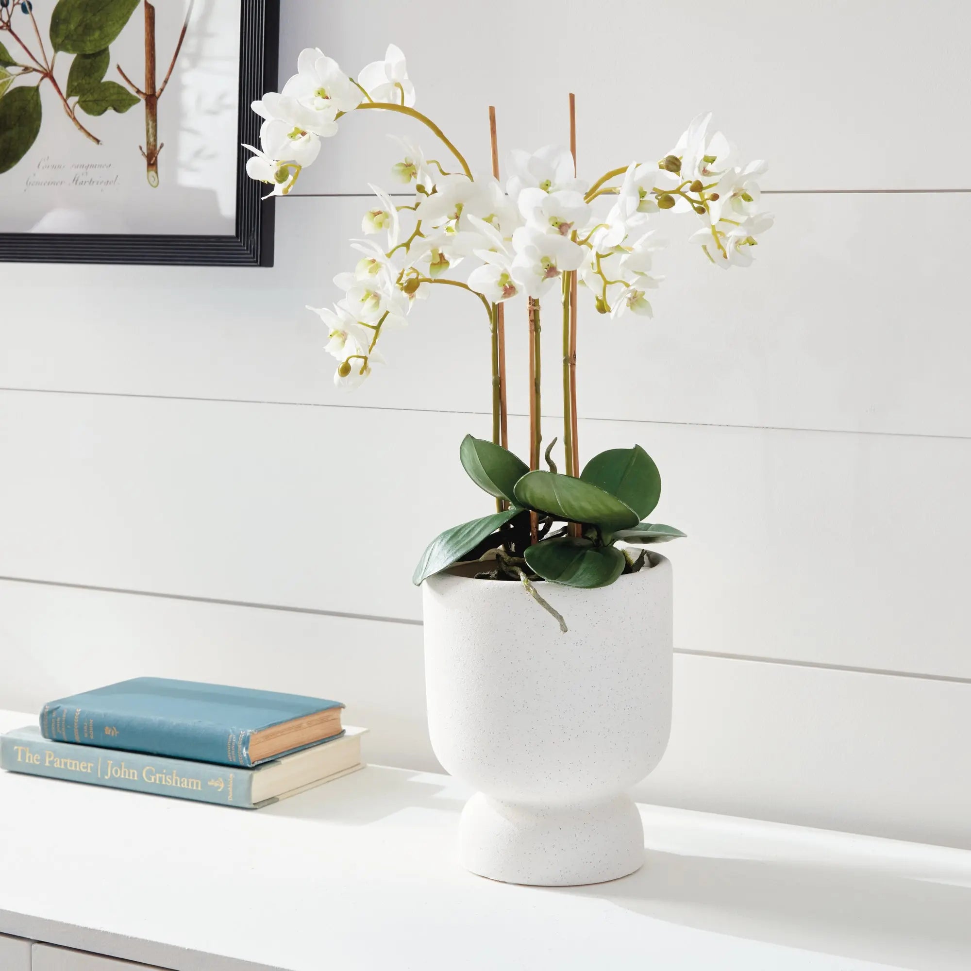 PHALAENOPSIS ORCHID DROP-IN 20" Villa Decor & Design
