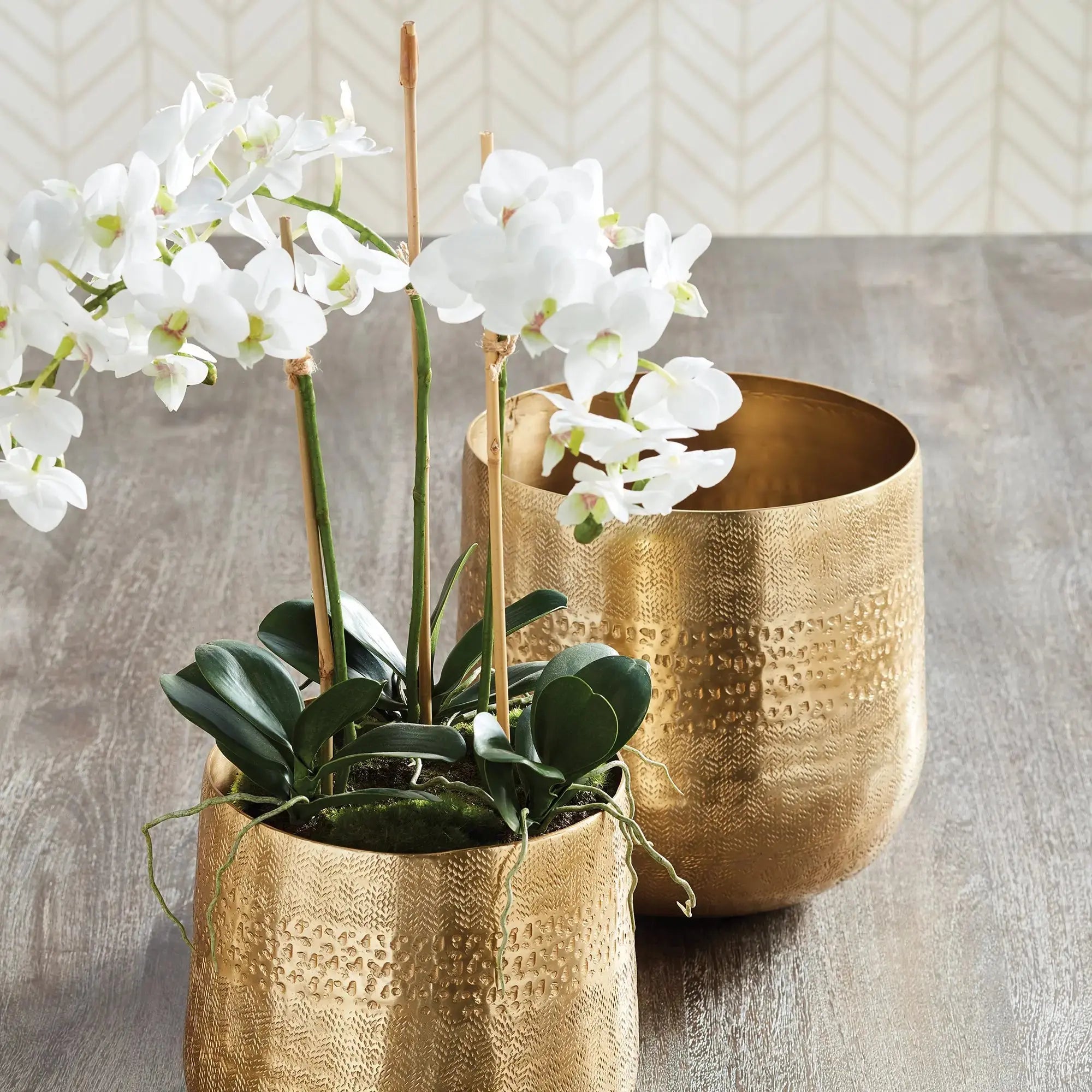 PHALAENOPSIS ORCHID MINI GARDEN DROP-IN 16" Villa Decor & Design