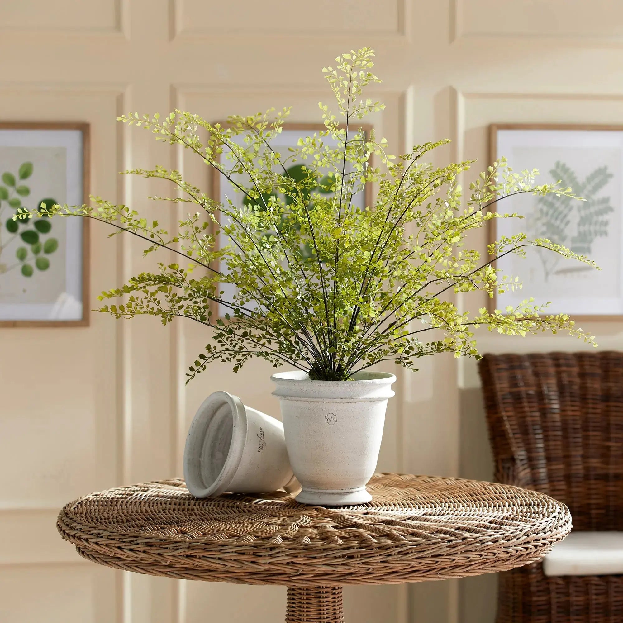 MAIDENHAIR DROP-IN 30" Villa Decor & Design