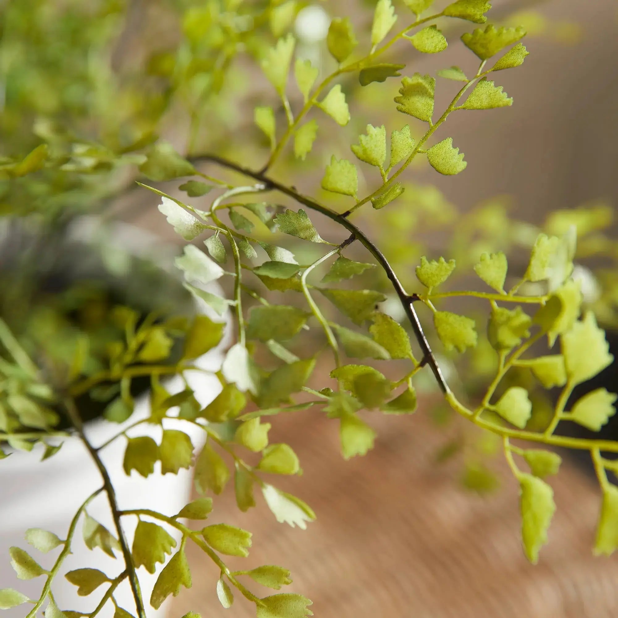 MAIDENHAIR DROP-IN 30" Villa Decor & Design