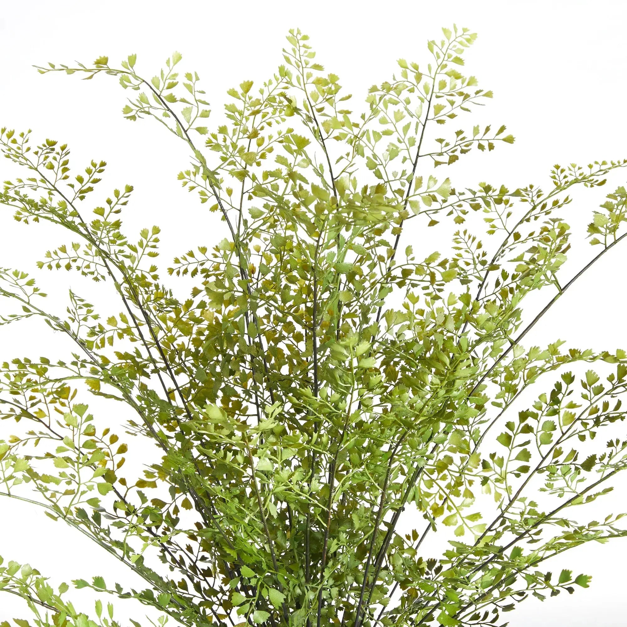 MAIDENHAIR DROP-IN 30" Villa Decor & Design