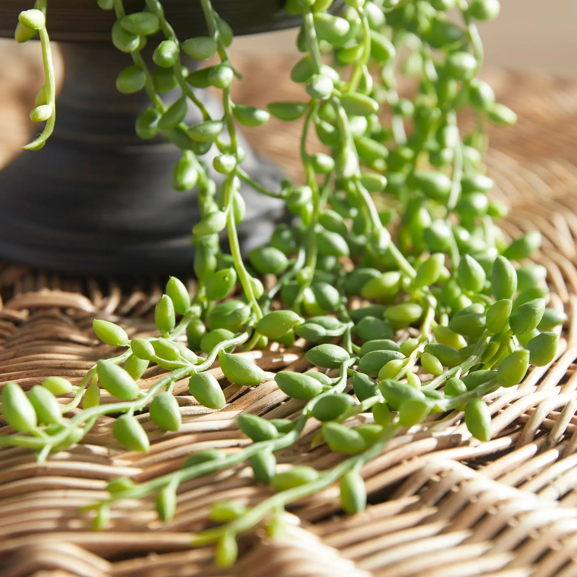 STRING OF PEARLS DROP-IN 26" Villa Decor & Design