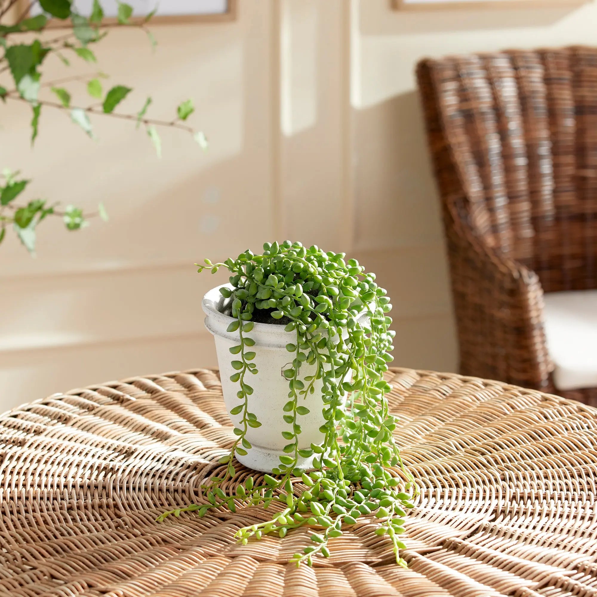 STRING OF PEARLS DROP-IN 26" Villa Decor & Design