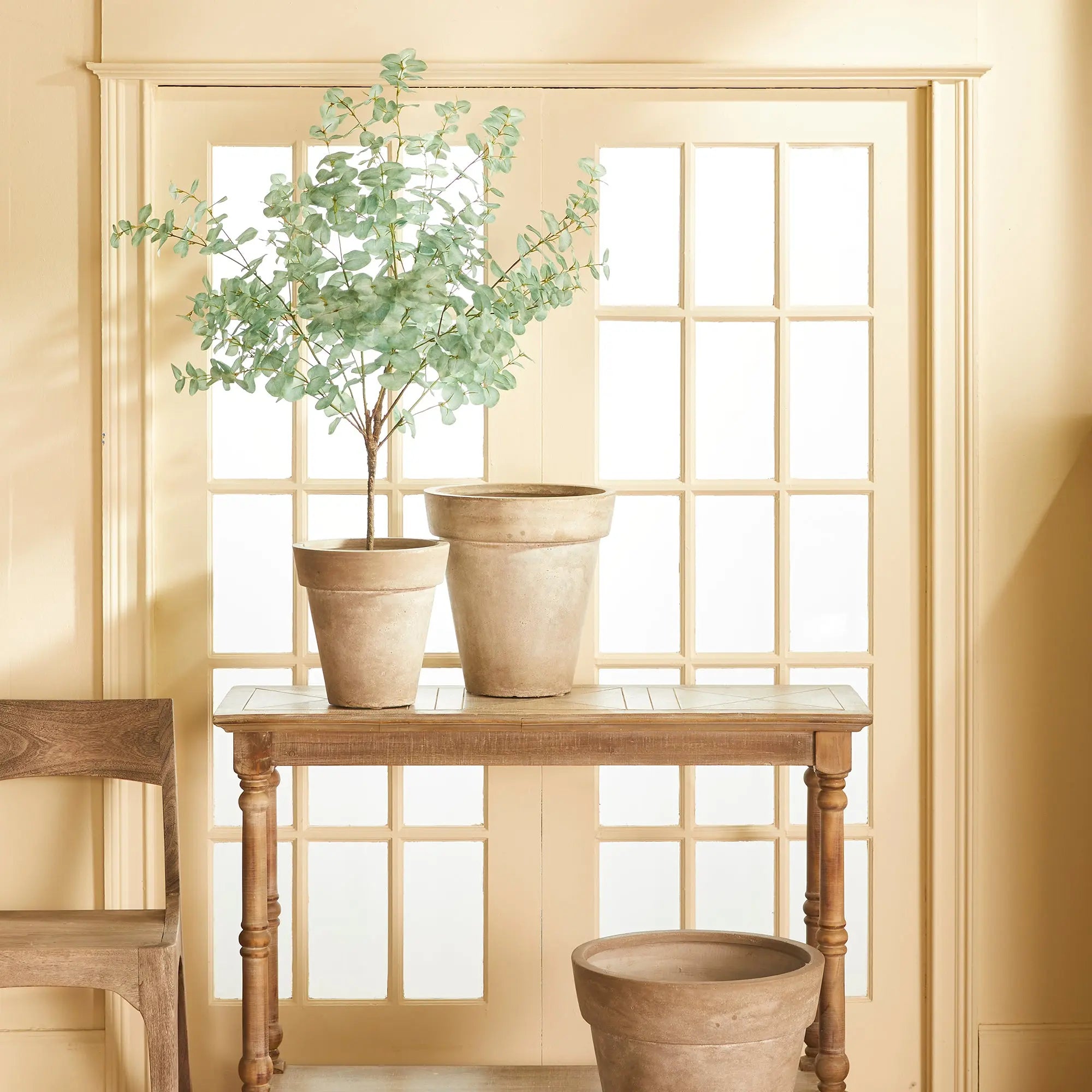 Eucalyptus Tree DROP-IN 49"