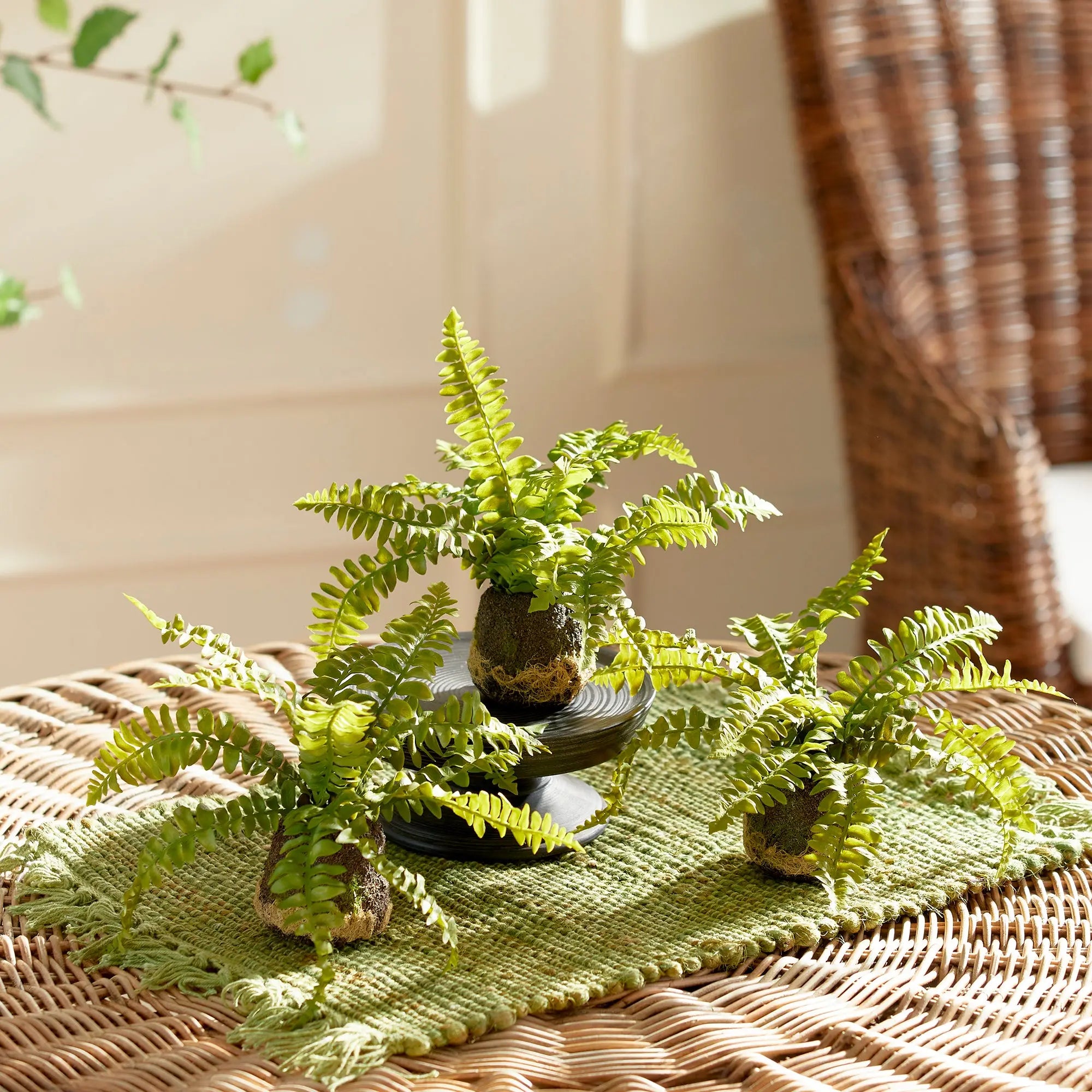 BOSTON FERN DROP-INS, SET OF 3 Villa Decor & Design
