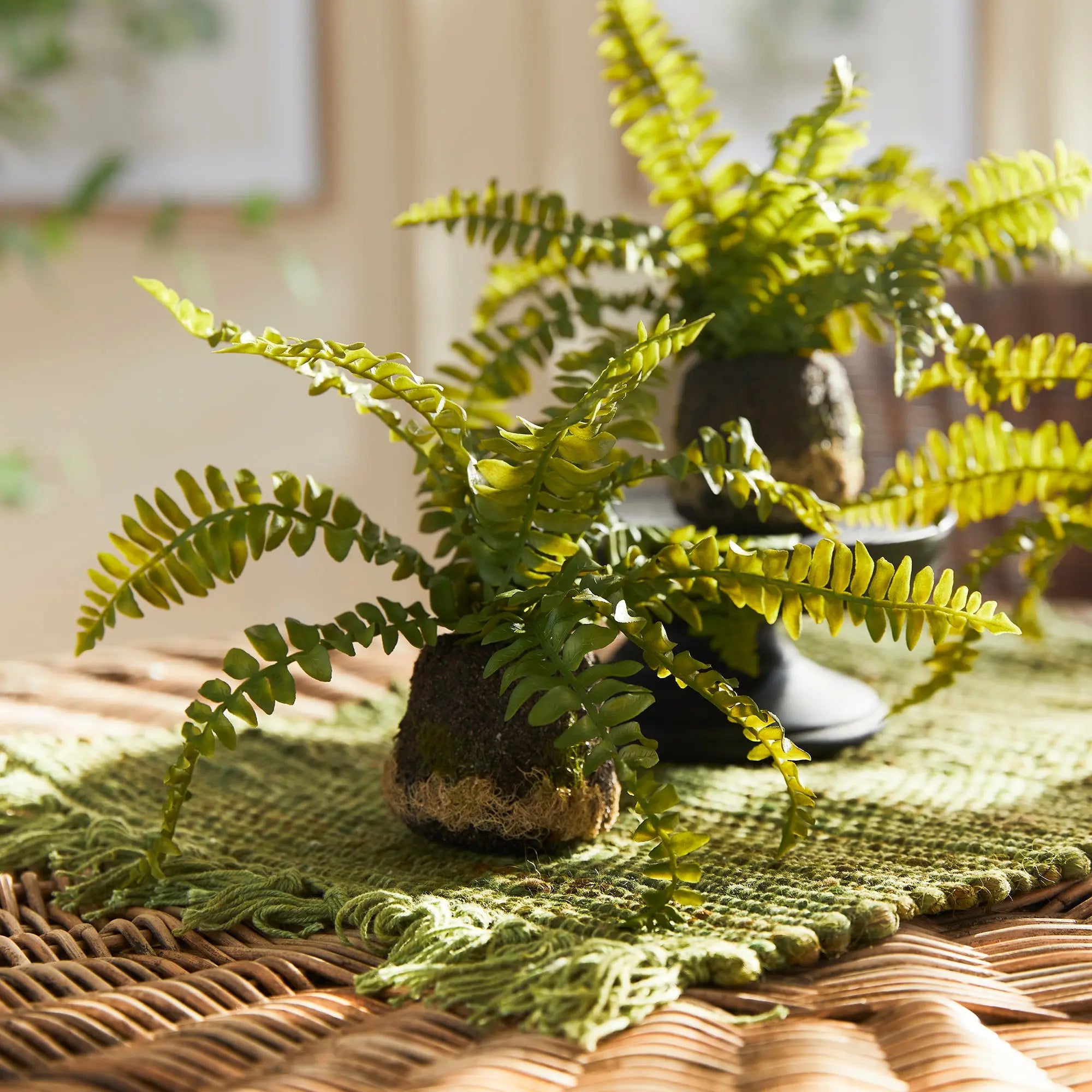 BOSTON FERN DROP-INS, SET OF 3 Villa Decor & Design