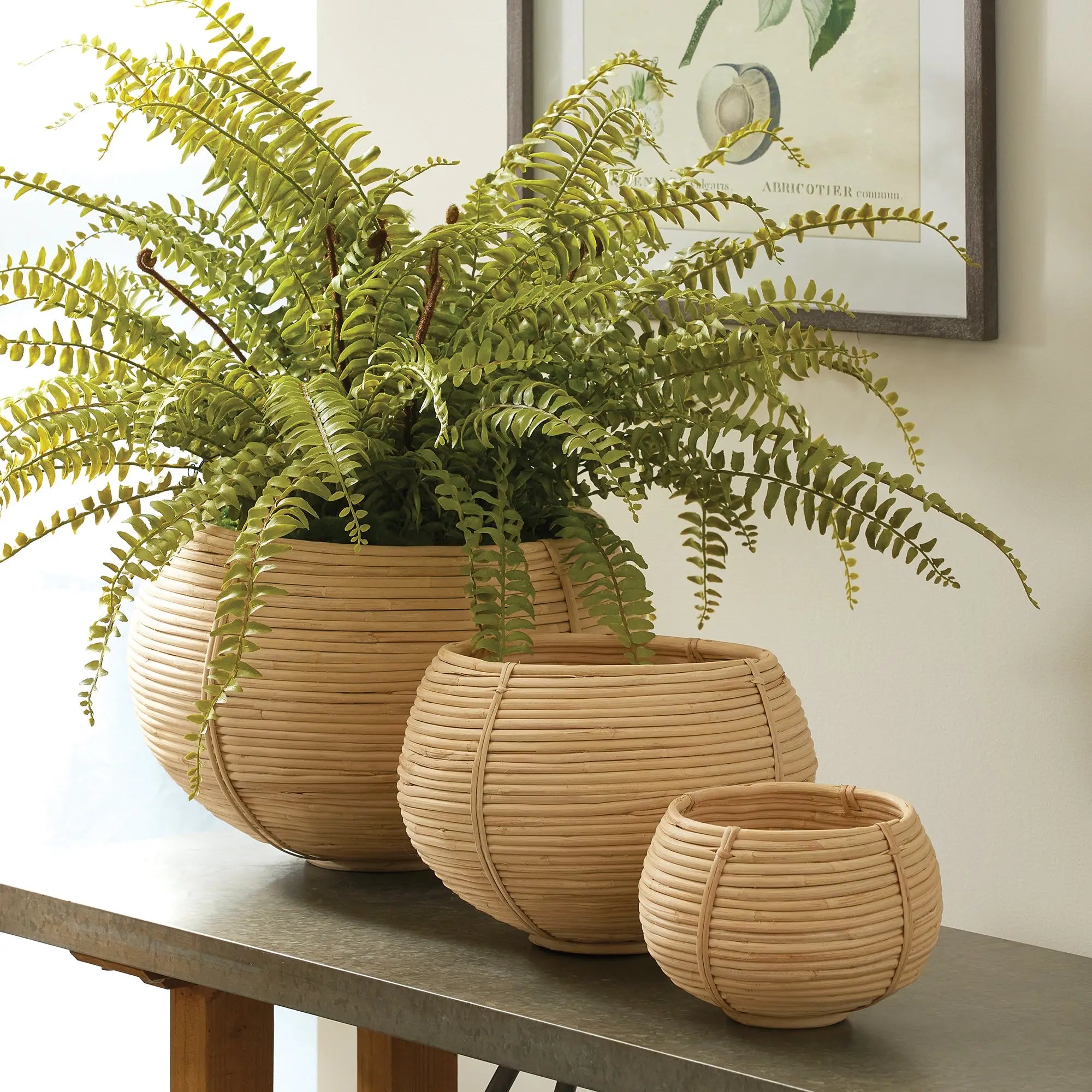 CANE RATTAN PLANT BASKETS, SET OF 3 Villa Decor & Design