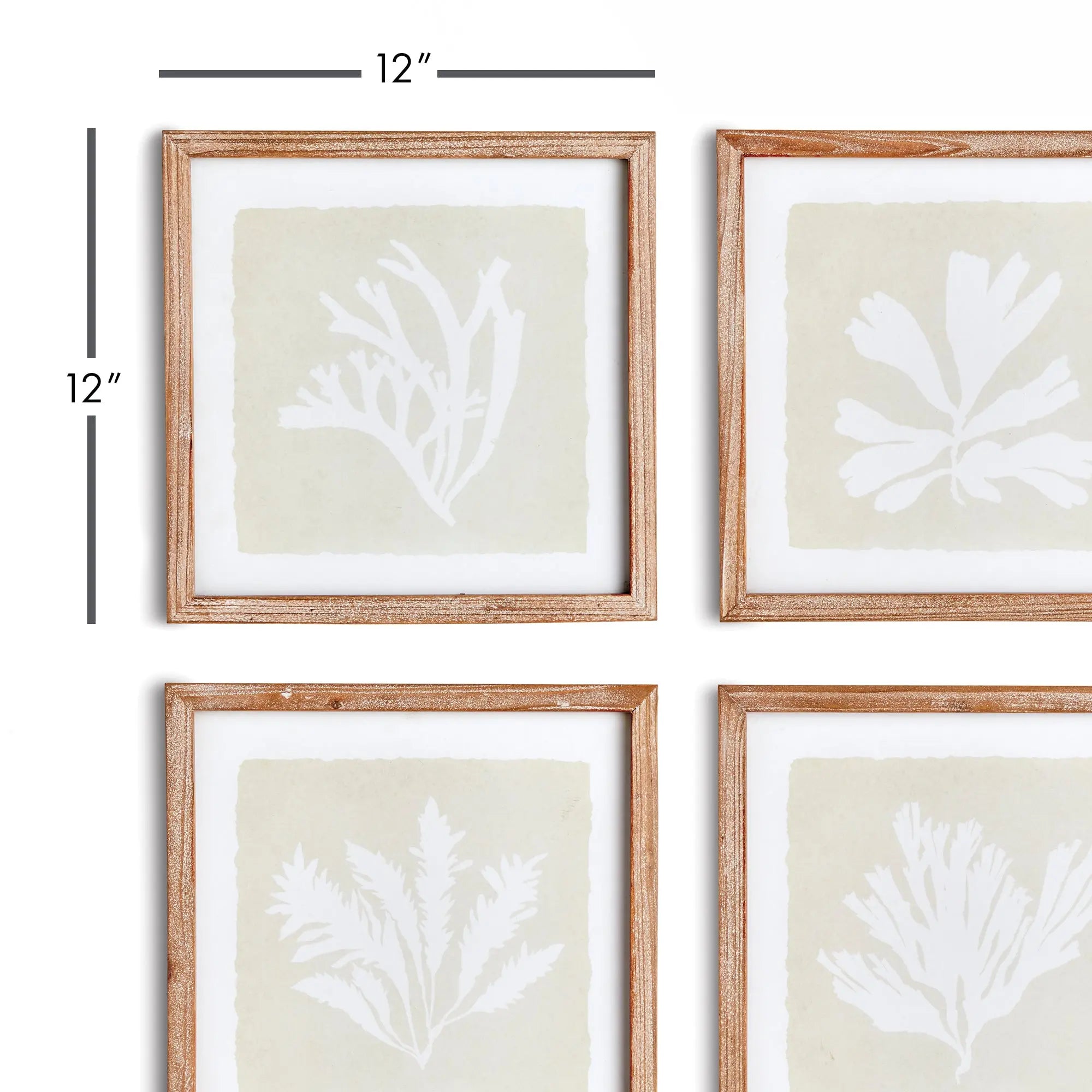 Seaweed Petite Prints, SET OF 4
