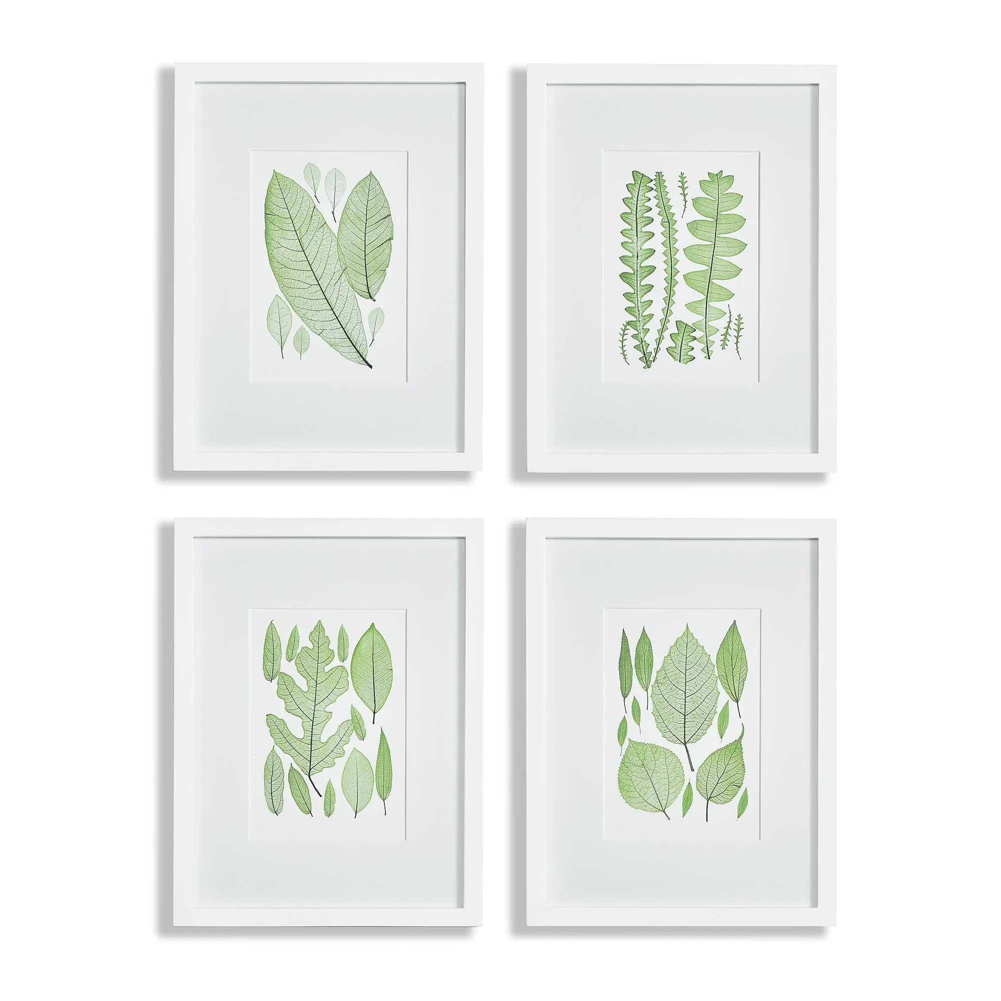 ASSORTED LEAF PRINTS, SET OF 4 Villa Decor & Design