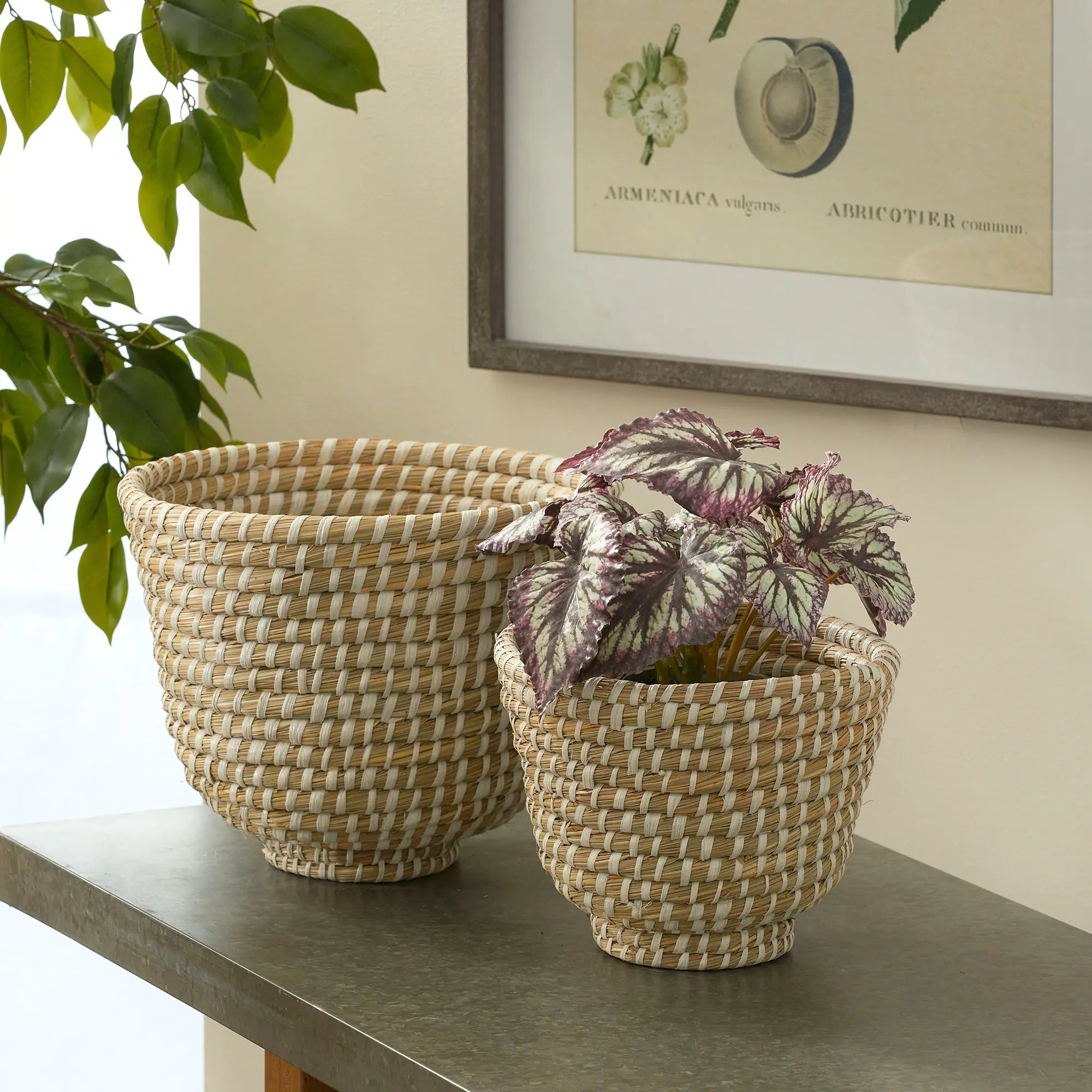 RIVERGRASS DECORATIVE FOOTED BOWLS, SET OF 2 Villa Decor & Design