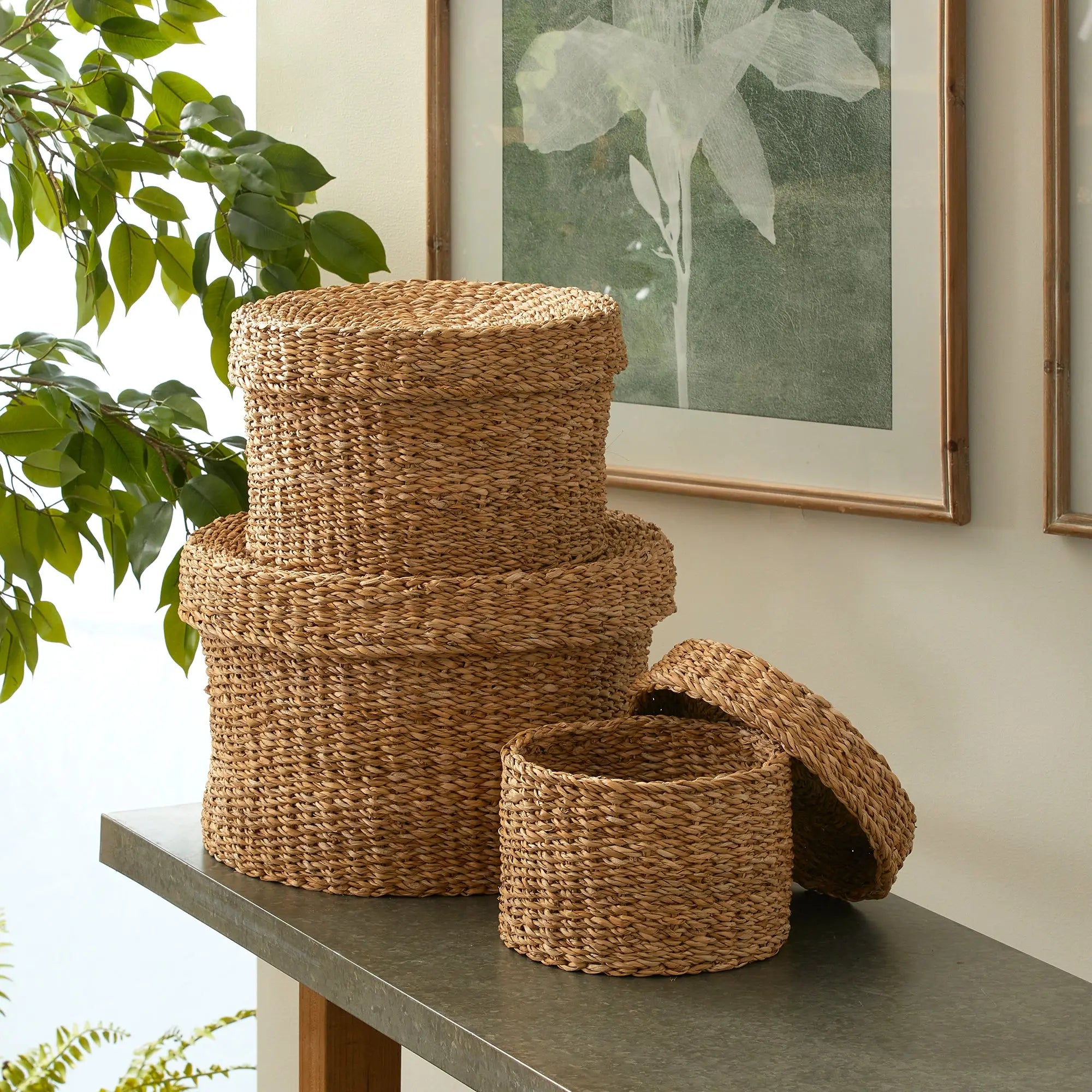 Set of woven baskets on a surface with a plant and framed picture in the background