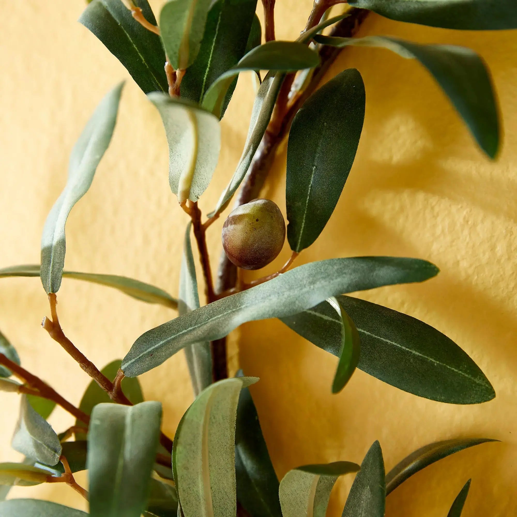 OLIVE WREATH WITH OLIVES 16" Villa Decor & Design