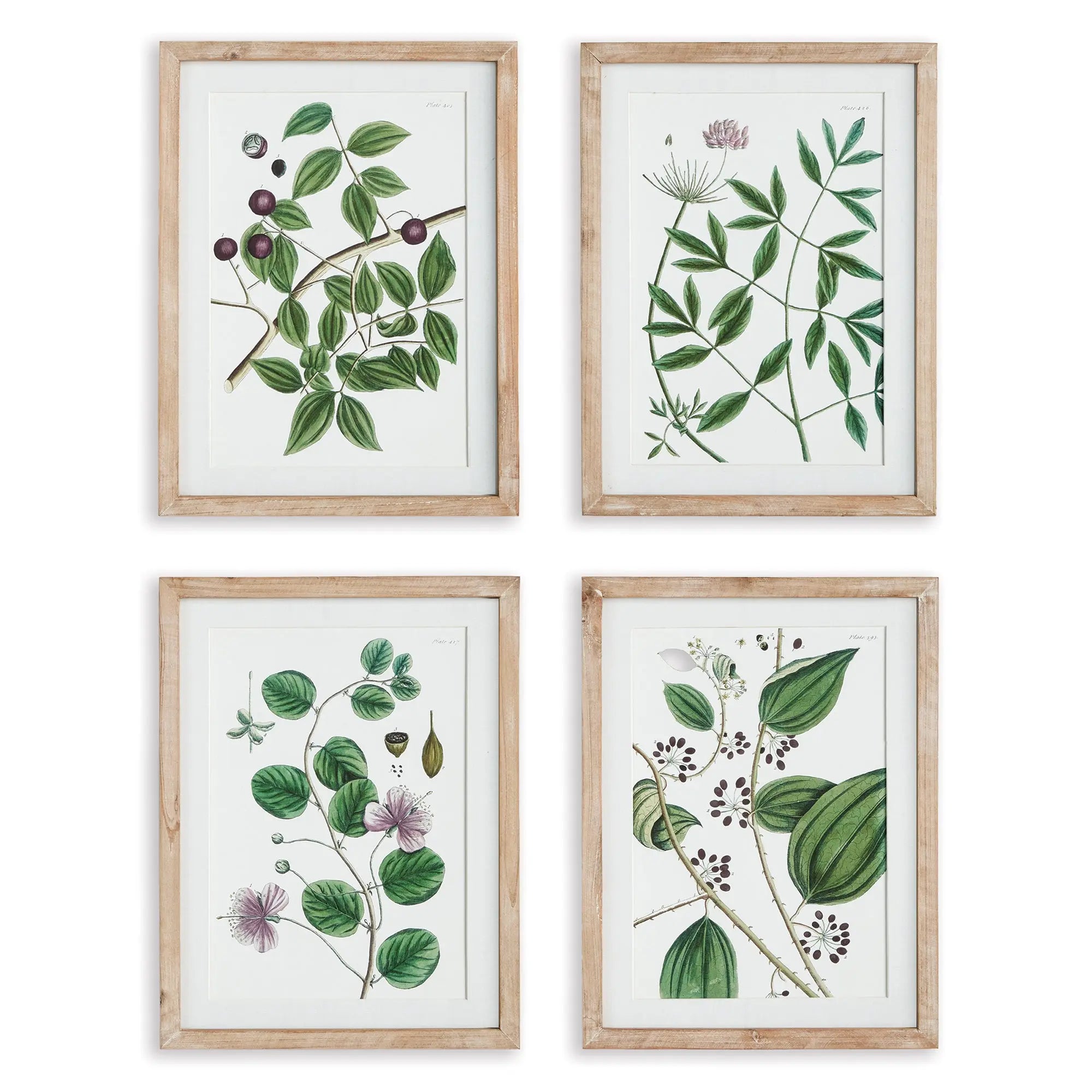 VERDANT BRANCH PRINTS, SET OF 4 Villa Decor & Design